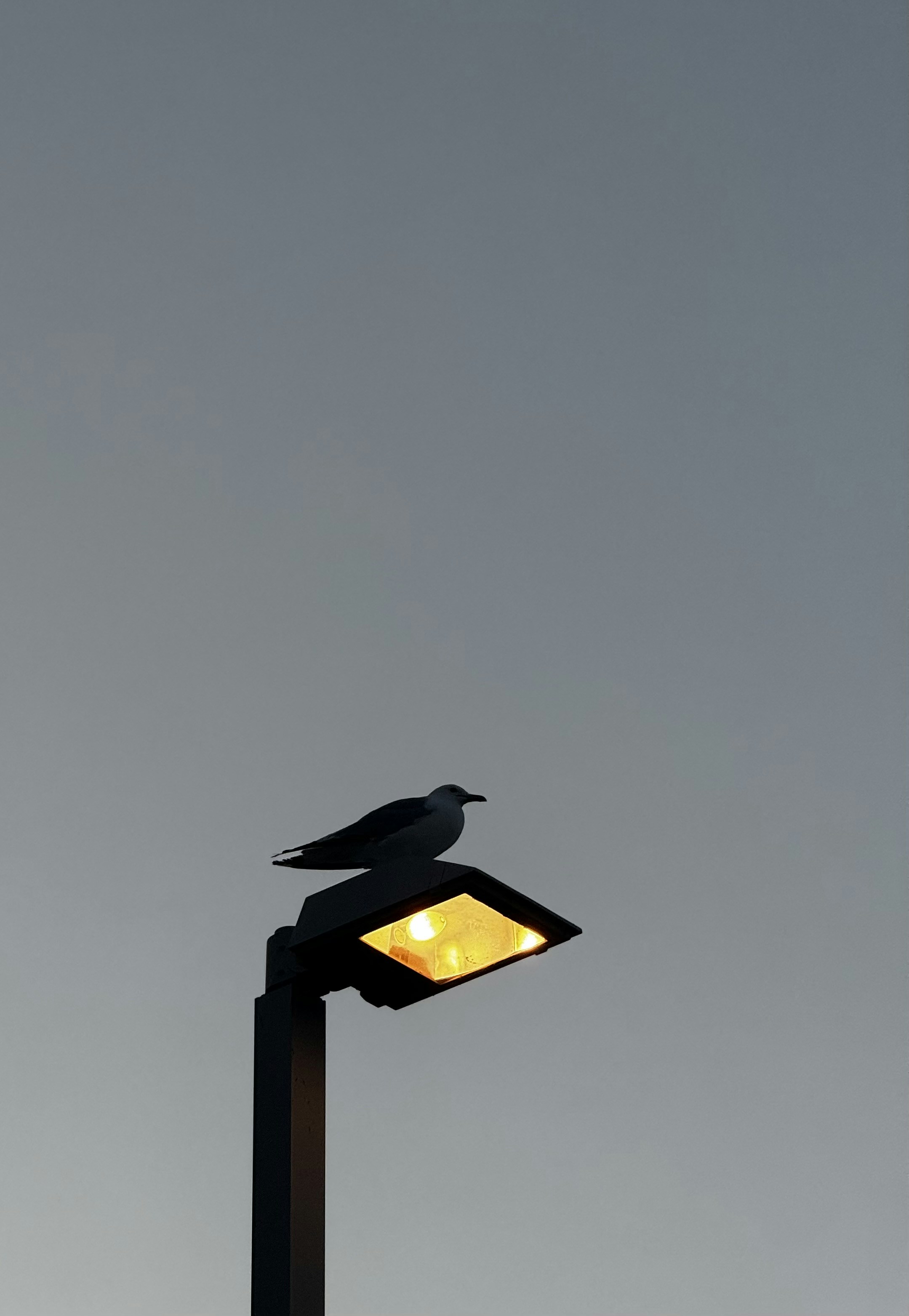 Photo by jincheng_1999