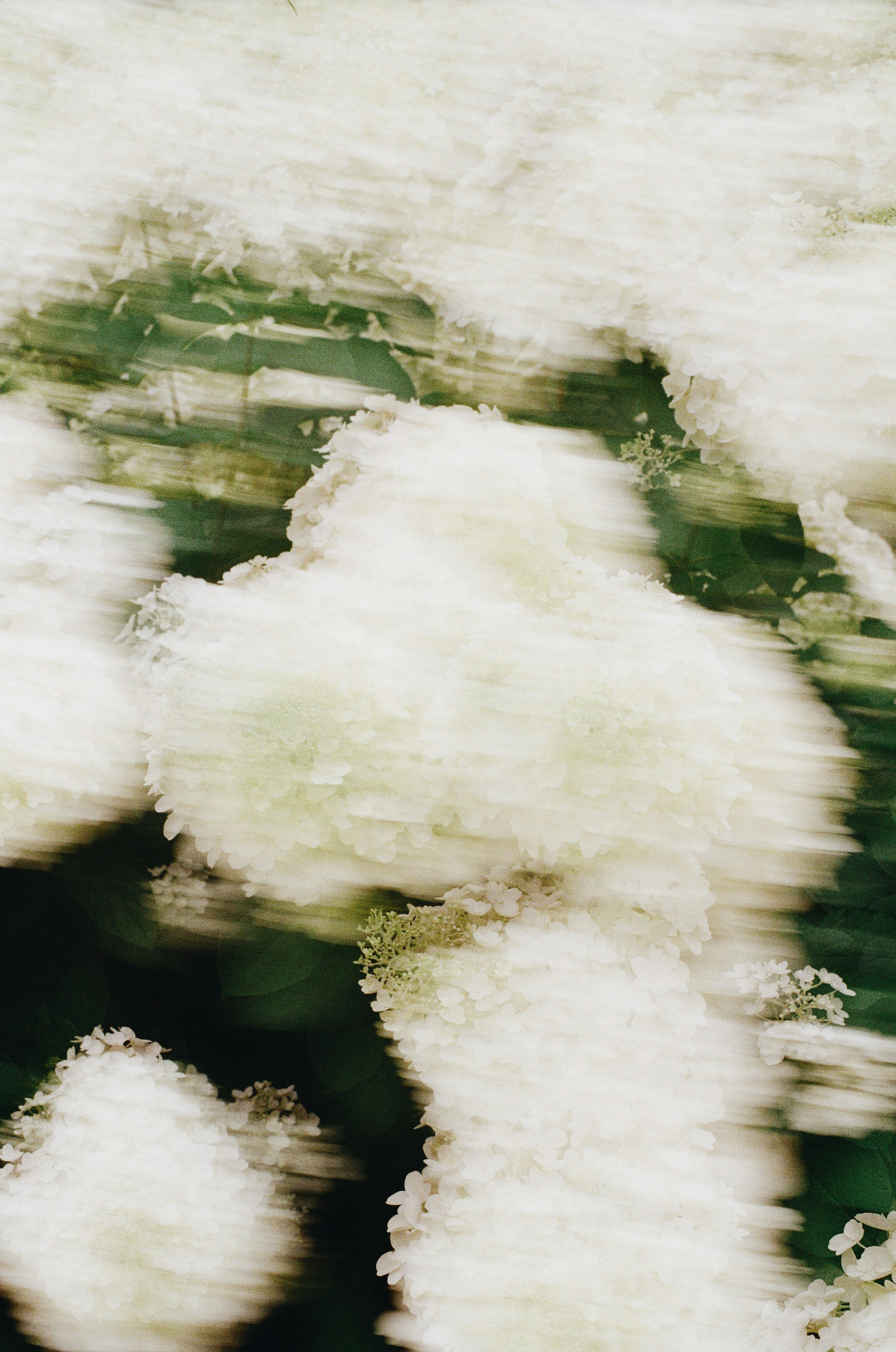 Photo by jo_negatives