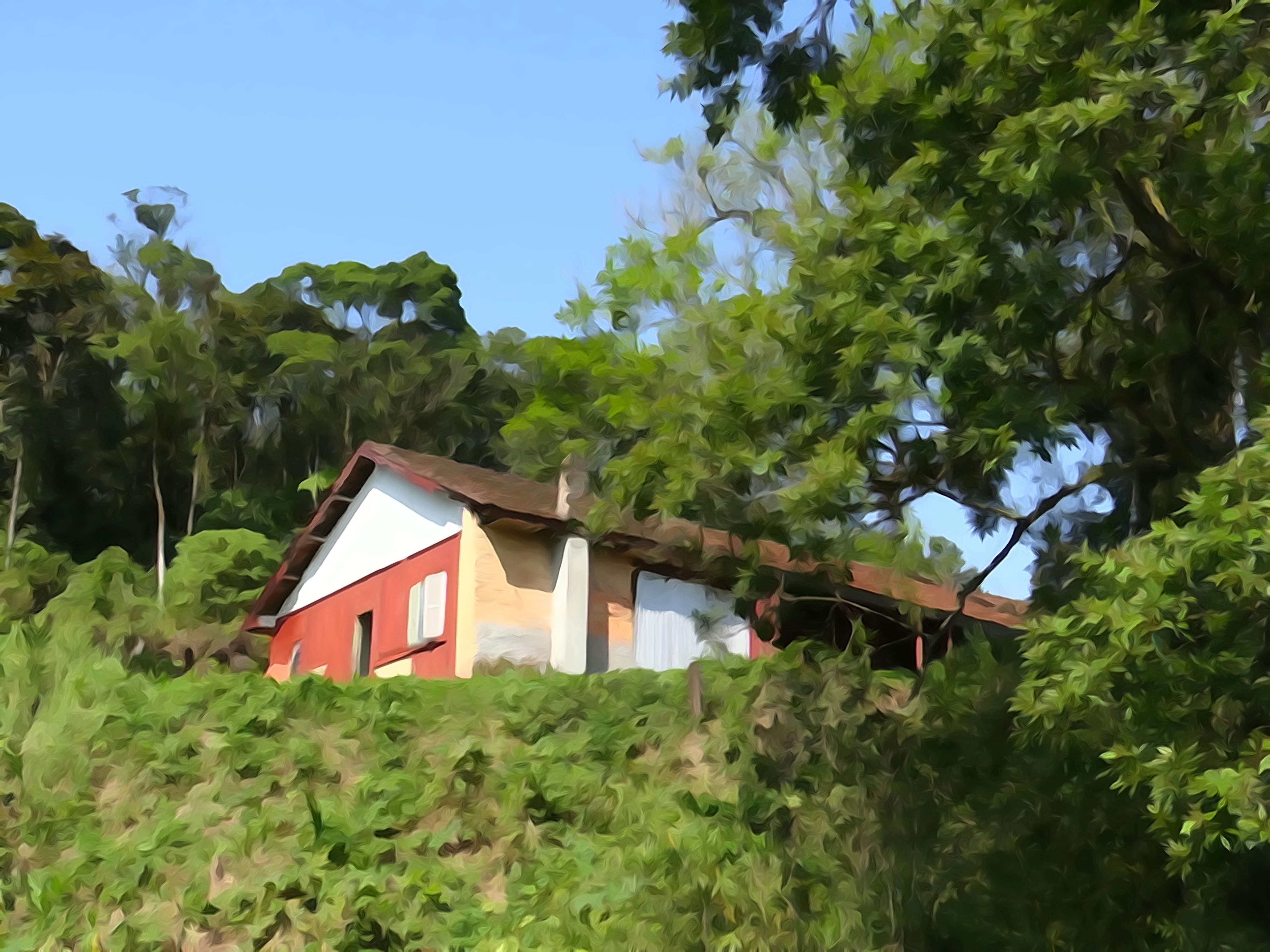 Photo by macornelsen