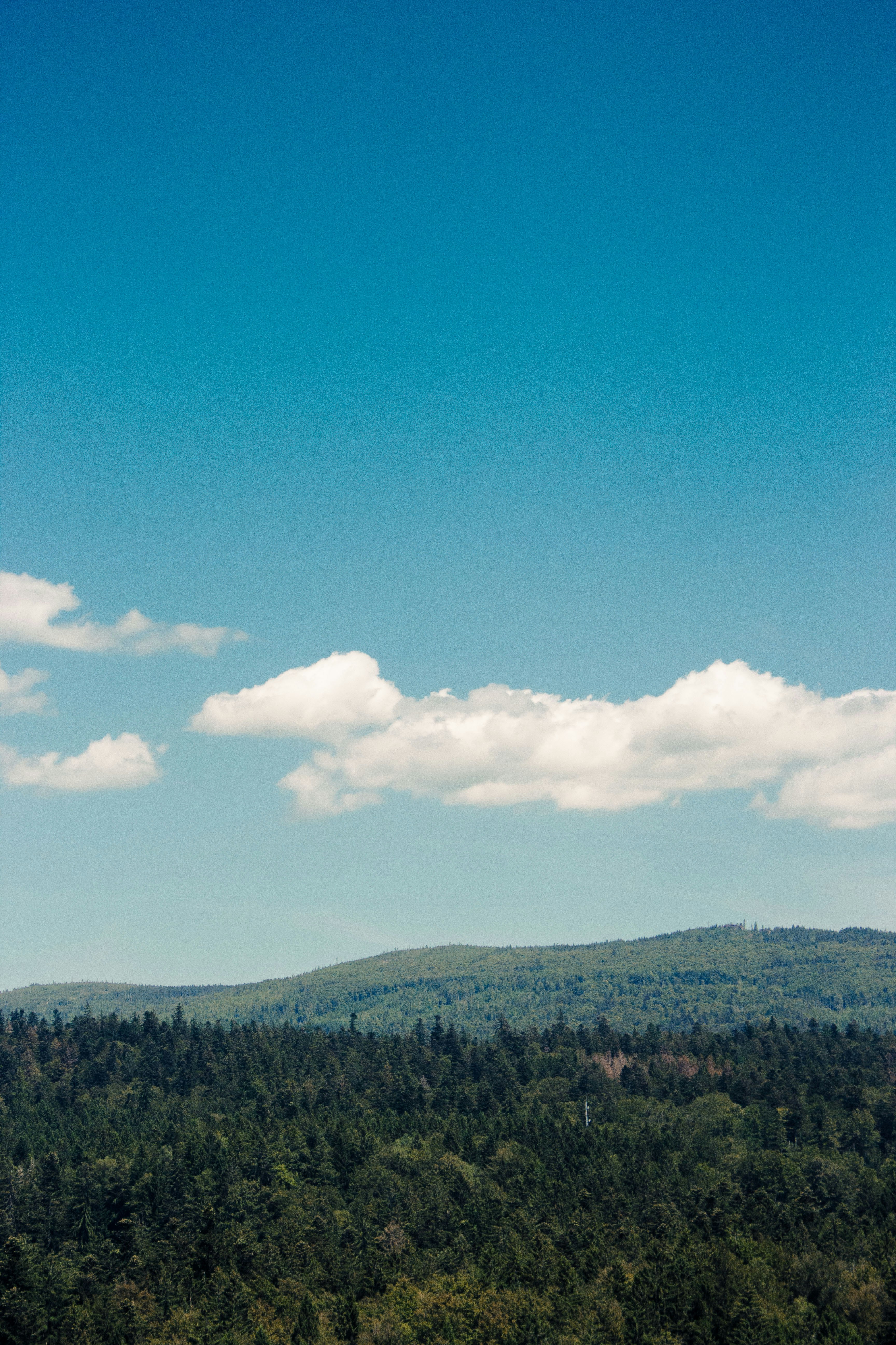 Photo by silaslundquist