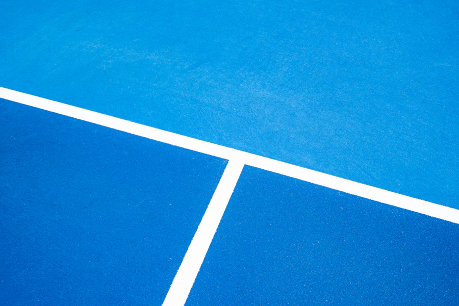Leap Pickleball Training Accessories and paddles