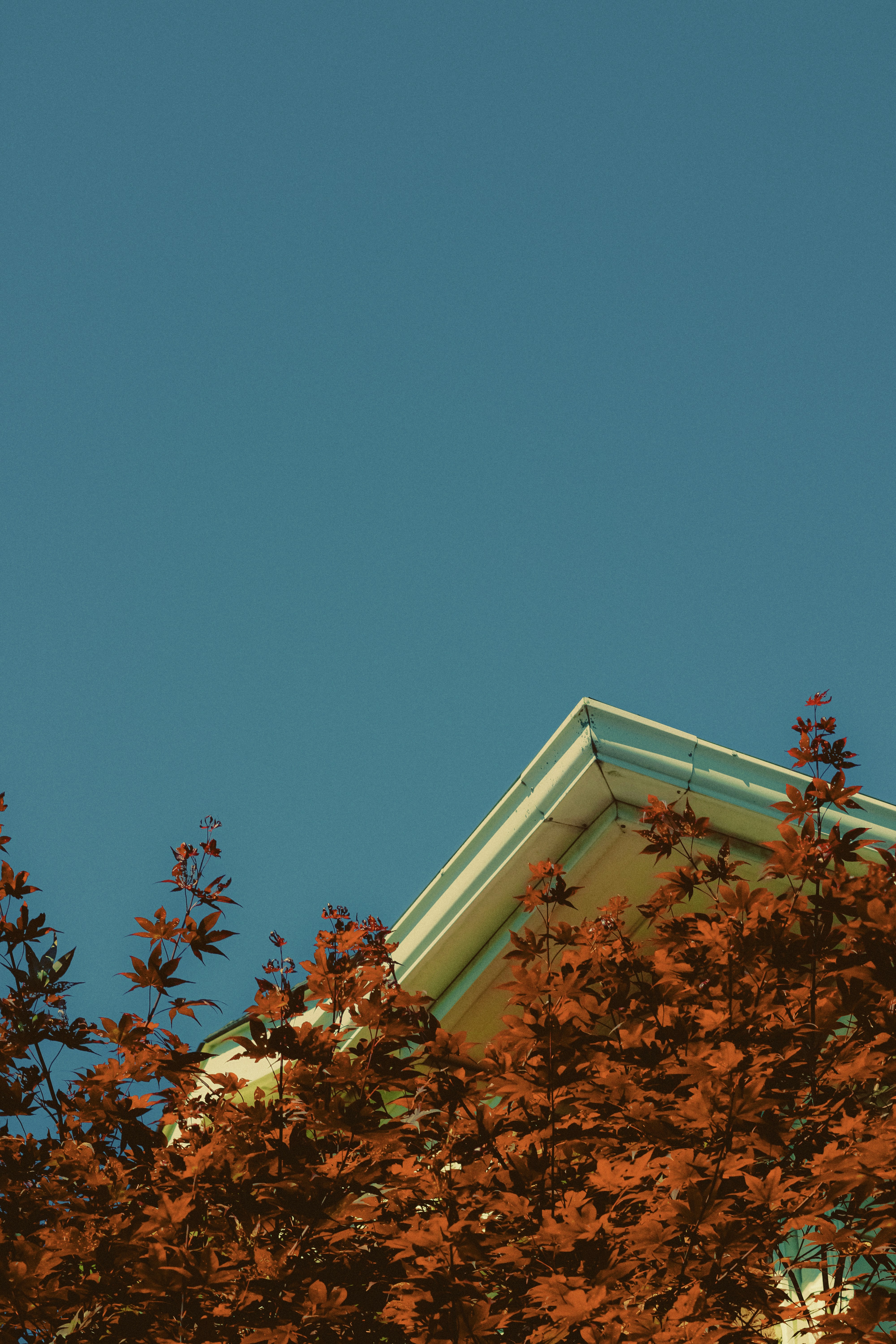 Photo by linusbelanger