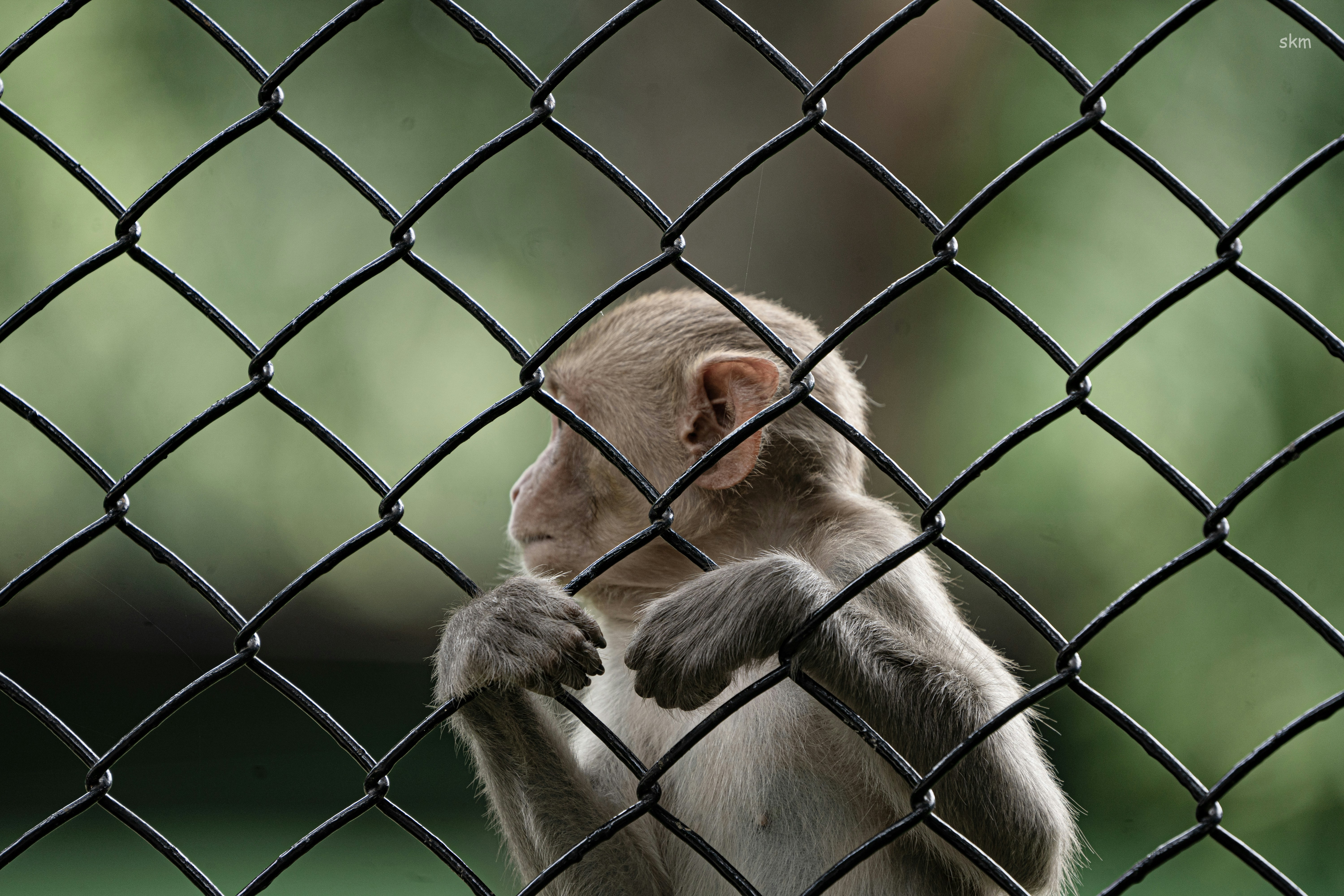 Photo by sandeepmachiraju