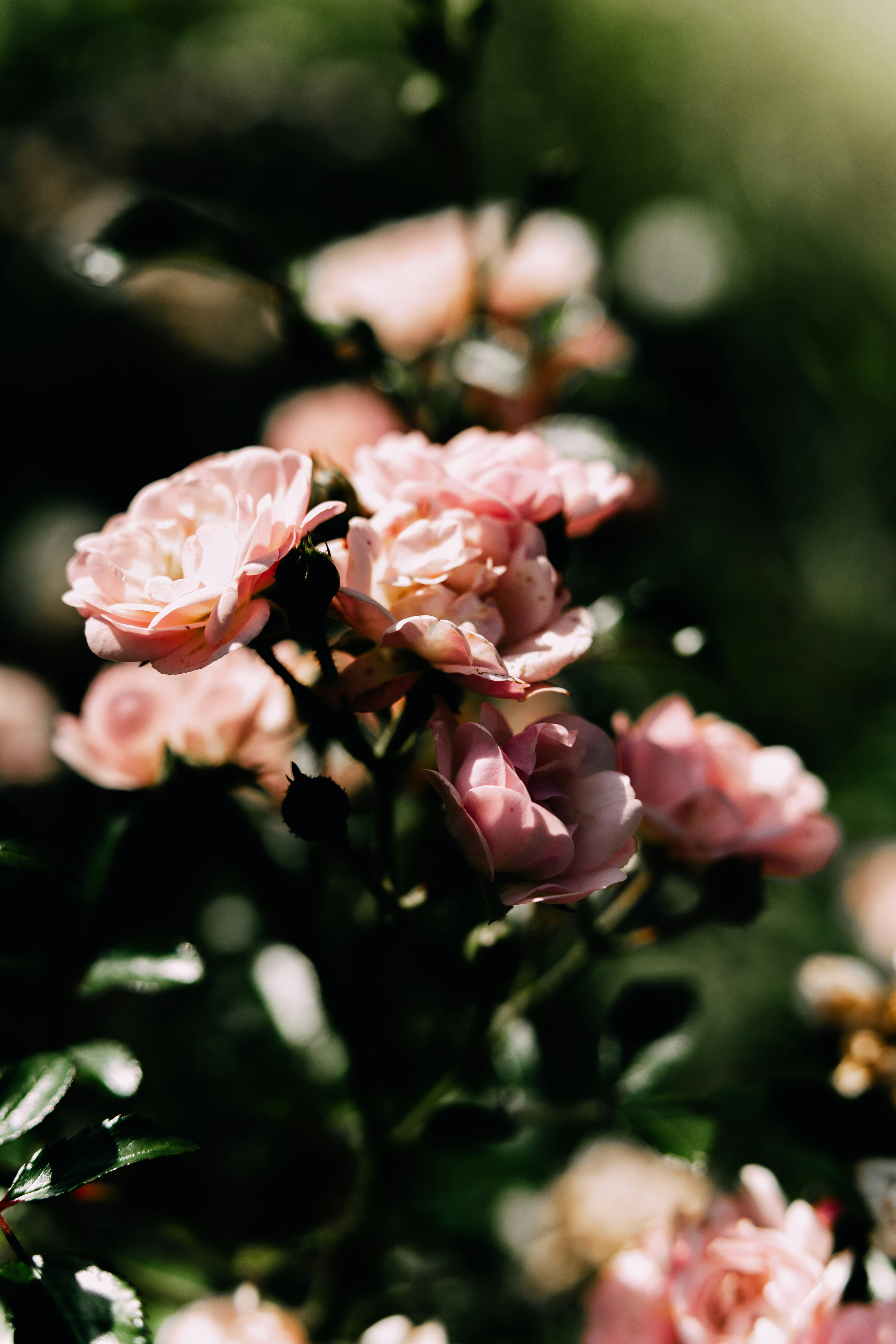 Photo by anamnesis33