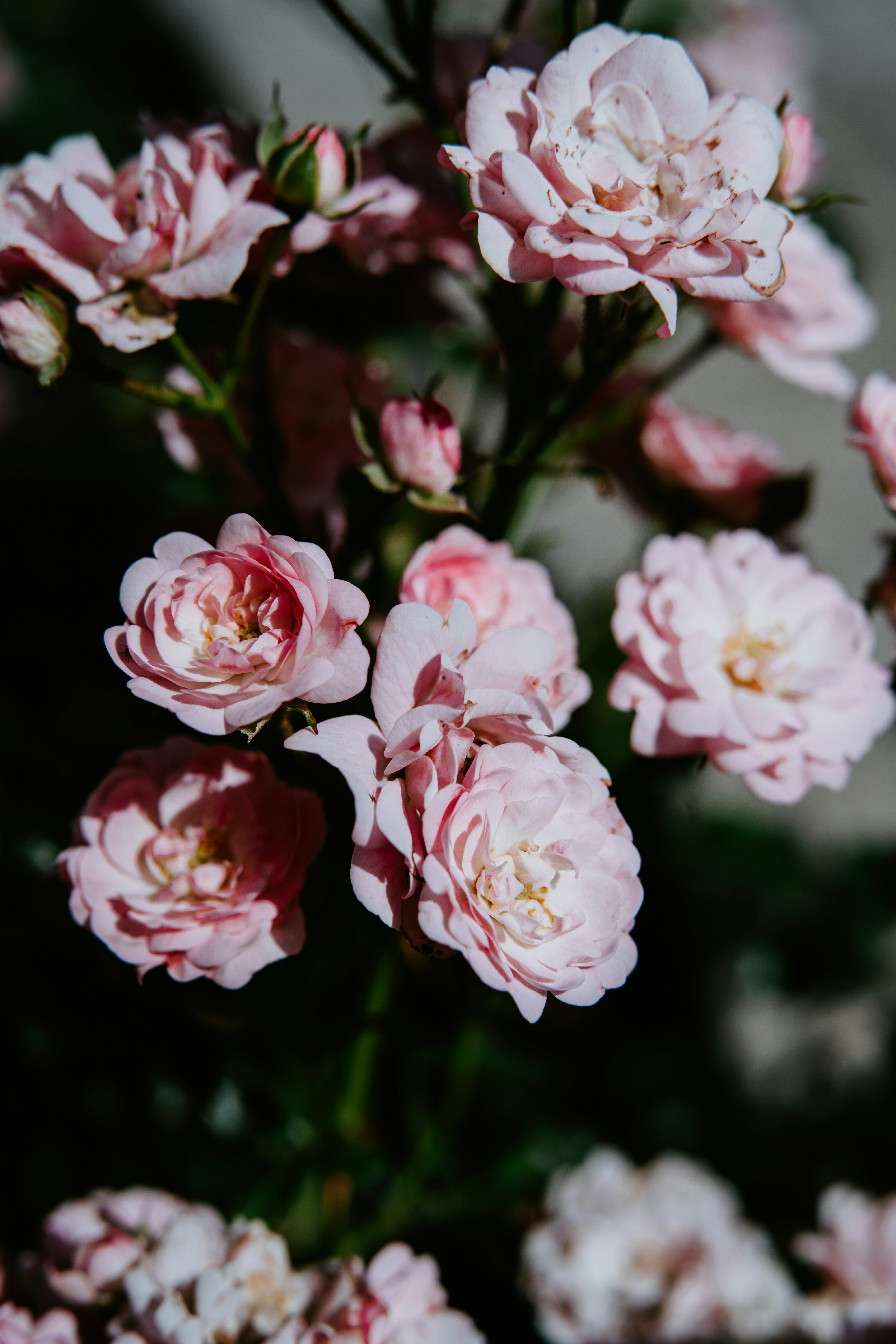 Photo by anamnesis33