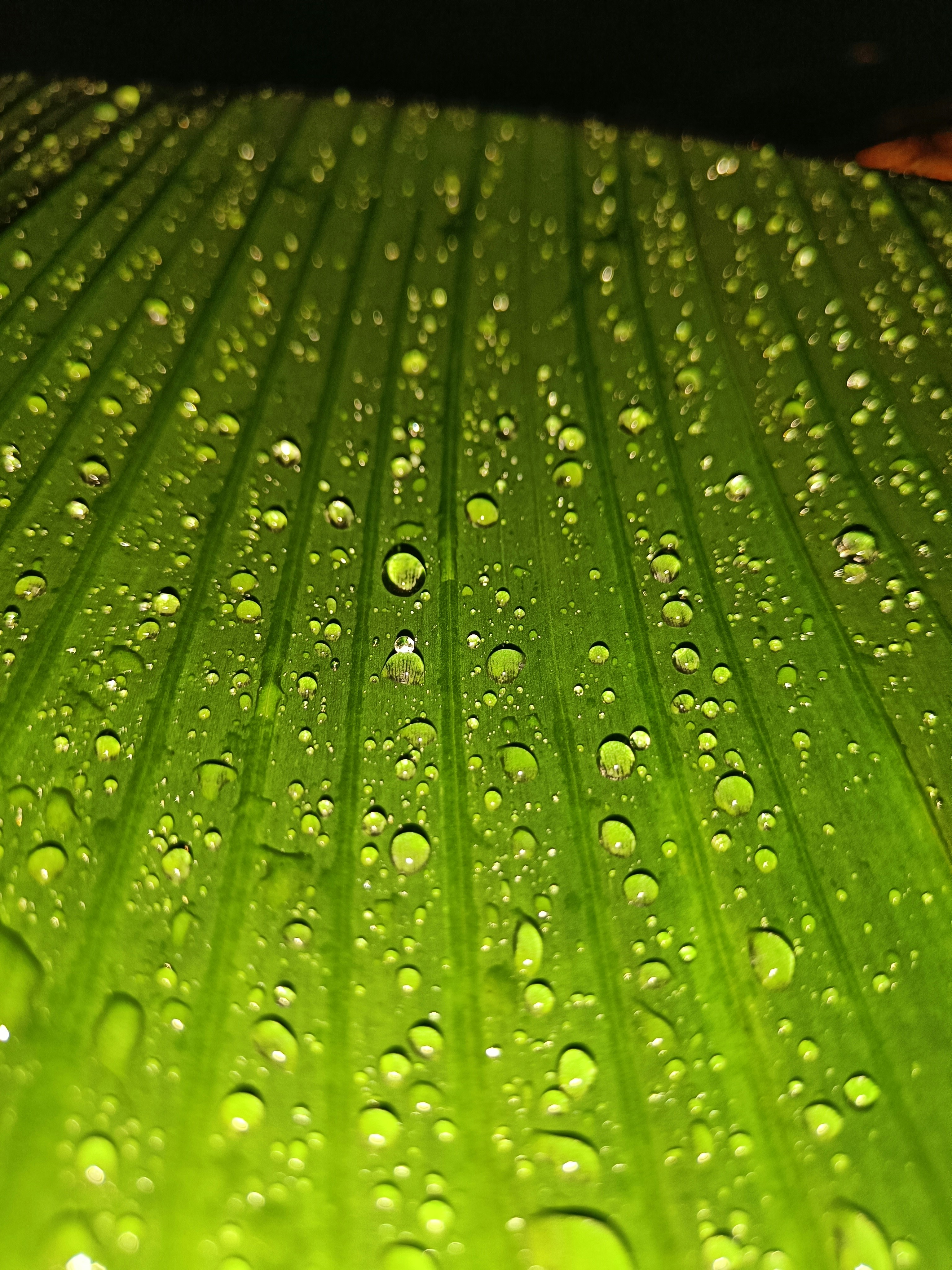 Photo by almahmudurrahmanfahim