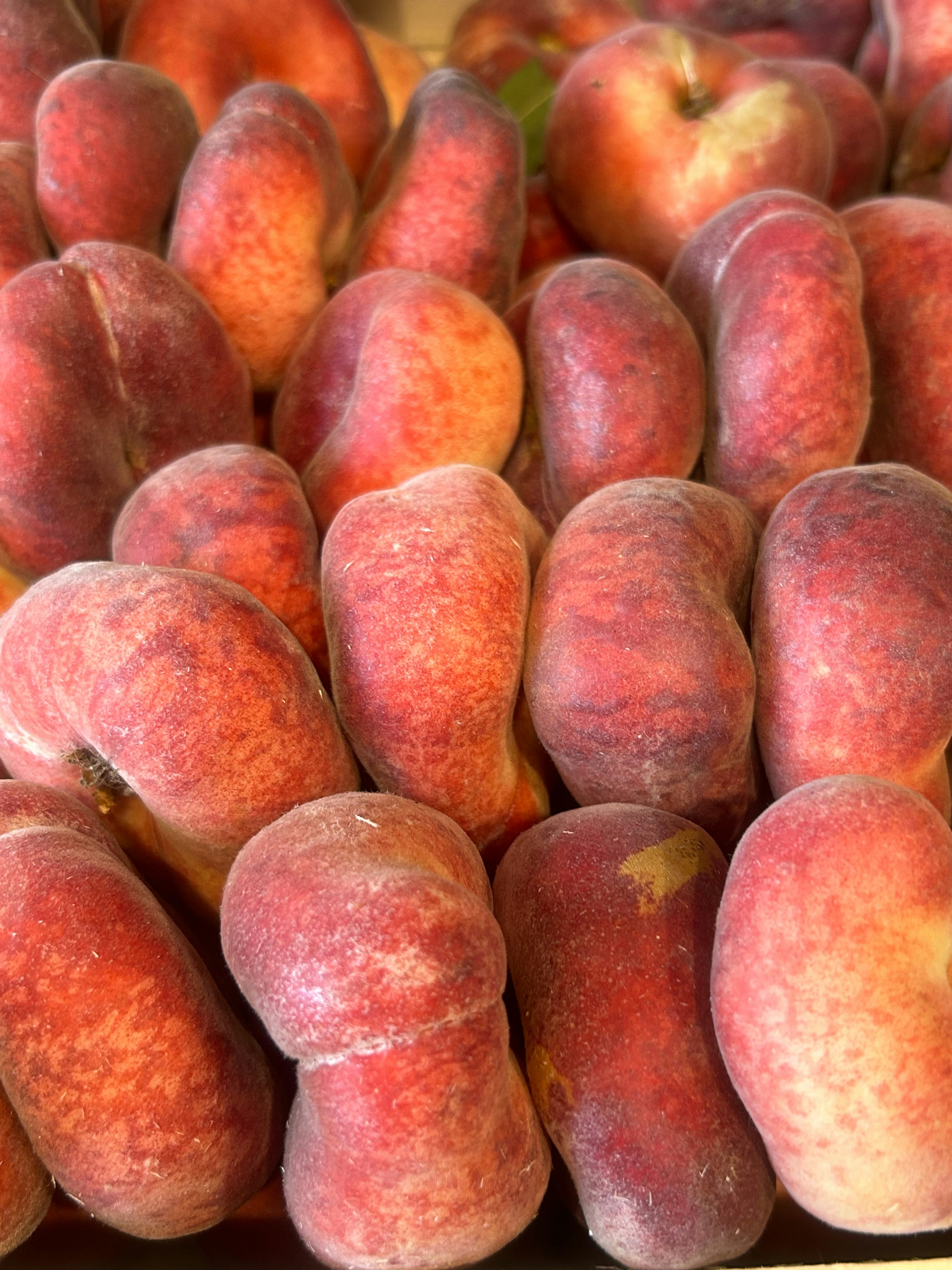 Photo by marichka002