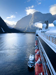 A cruise ship in a body of water with mountains in the background