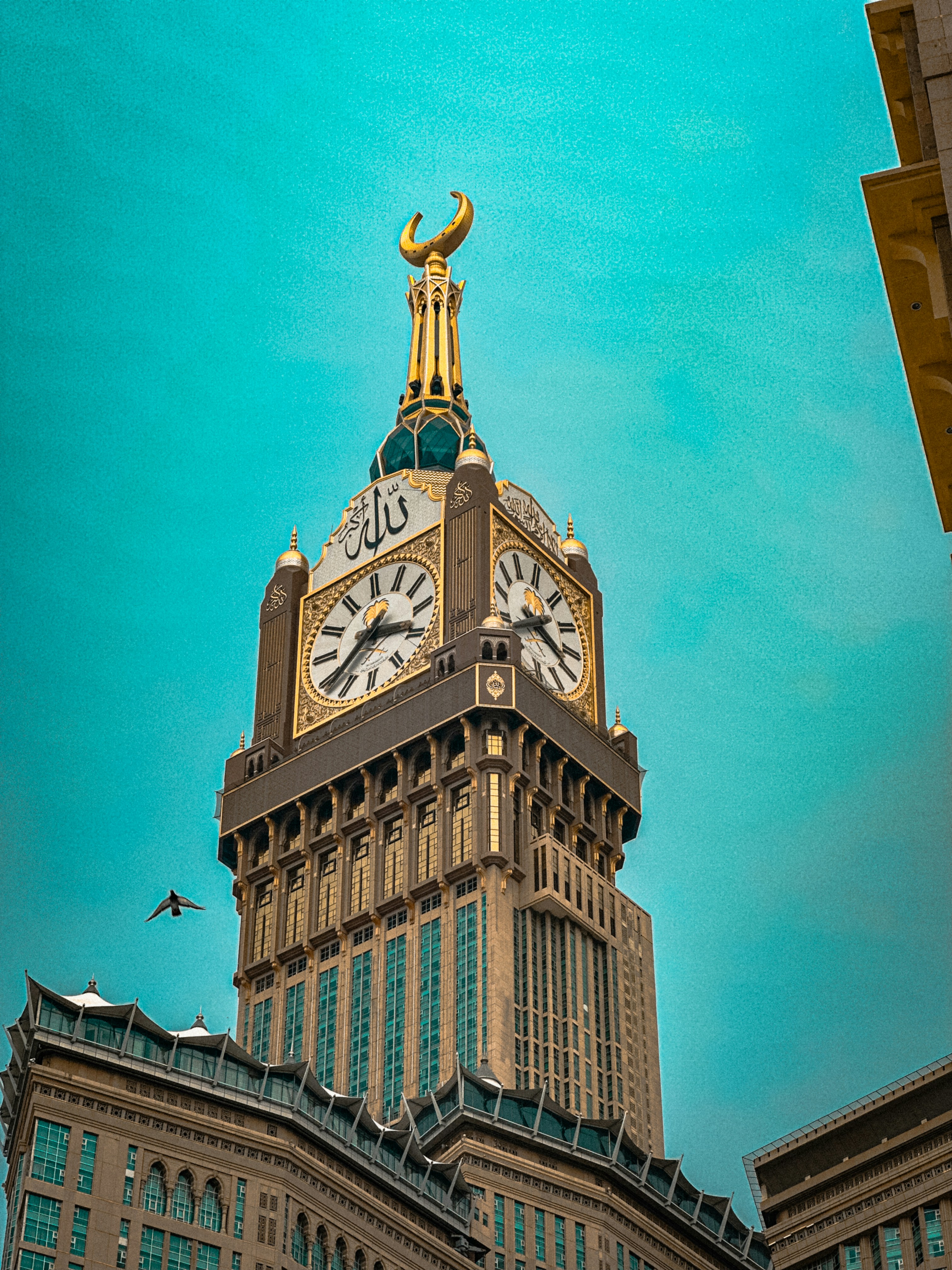 A large building with a clock on the top of it photo – Free Bird Image ...