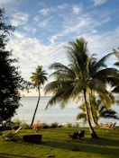 Vista da praia de Papeete no Tahiti, cercada por palmeiras e águas cristalinas