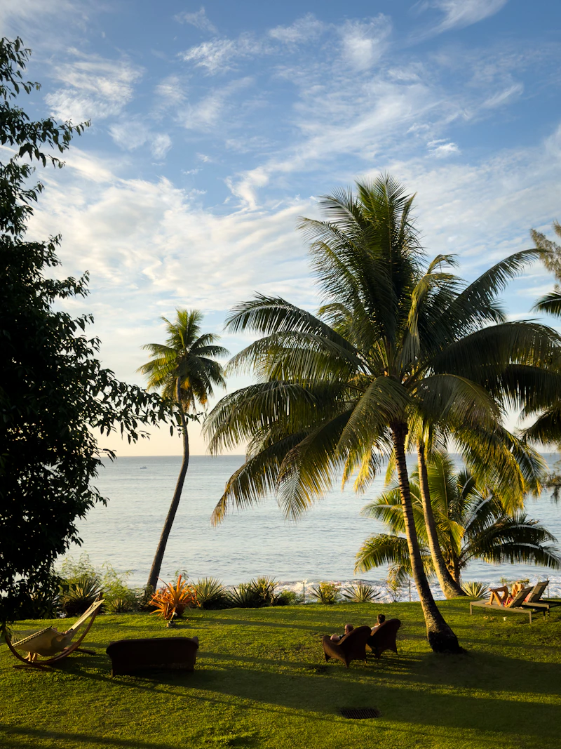Polynesian sunset over palms