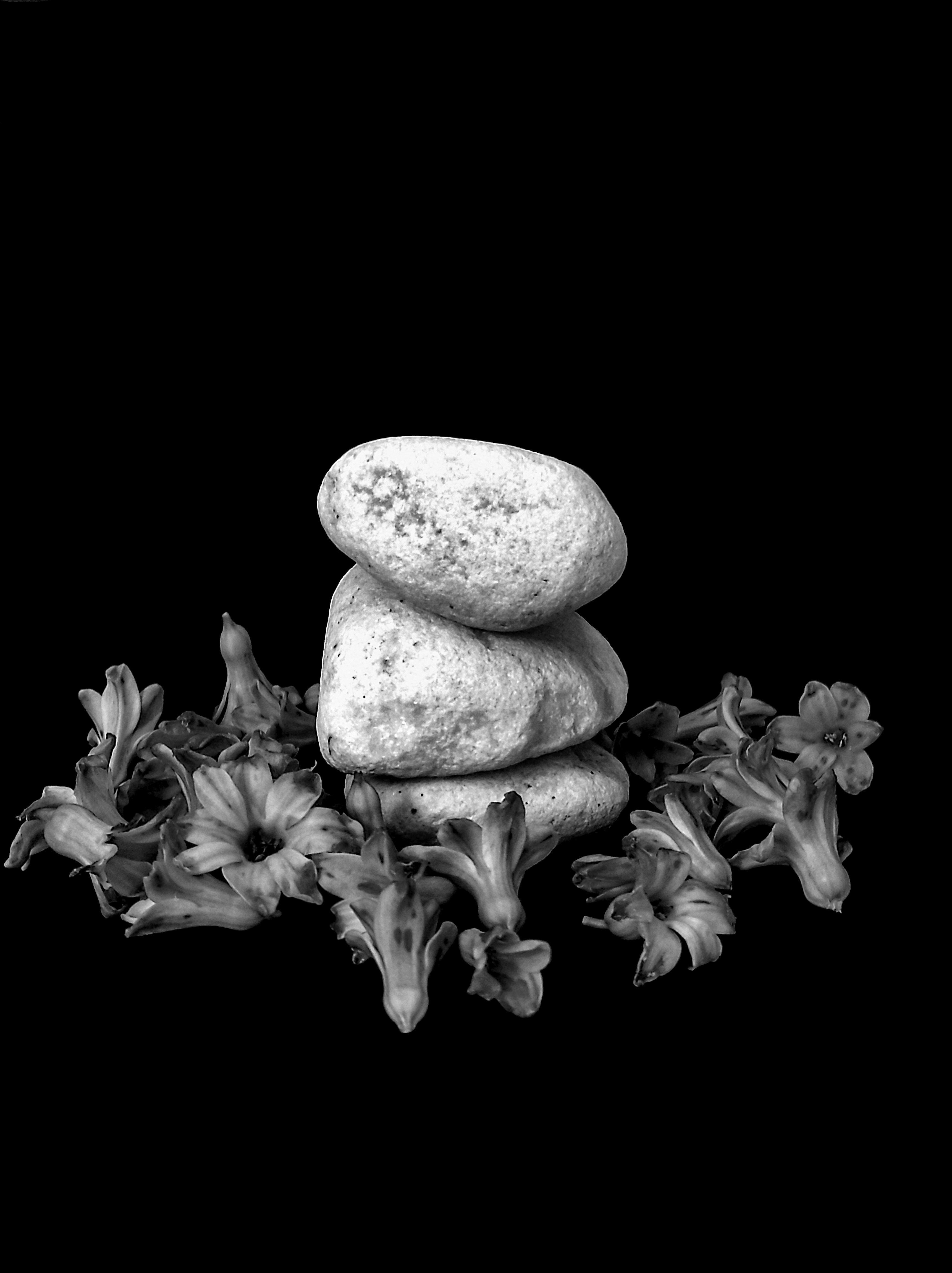 Photo by daniela_e_photography