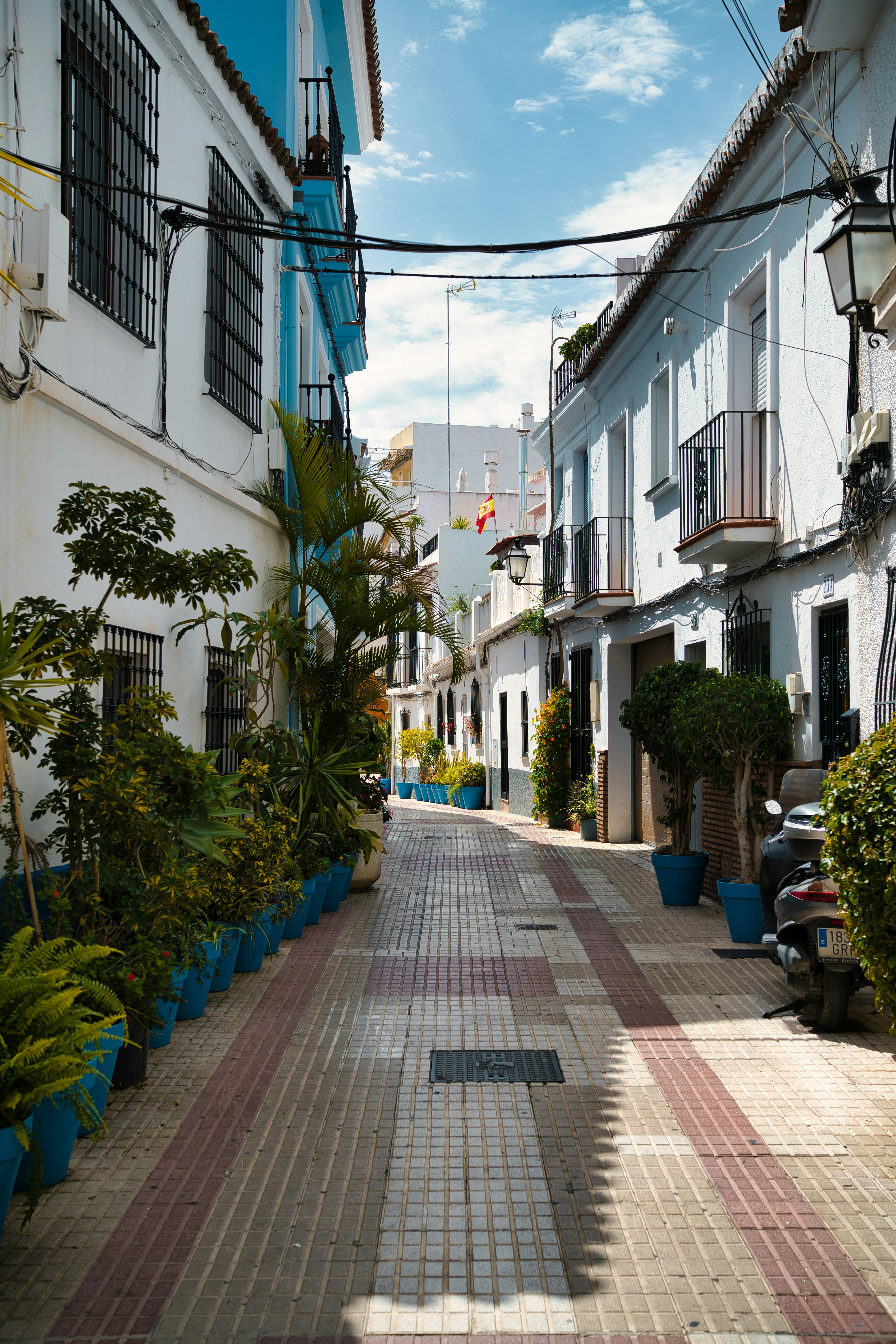 A narrow street lined with potted plants and buildings
