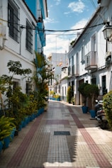 A narrow street lined with potted plants and buildings