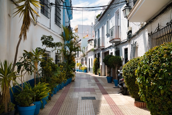 A narrow street lined with potted plants