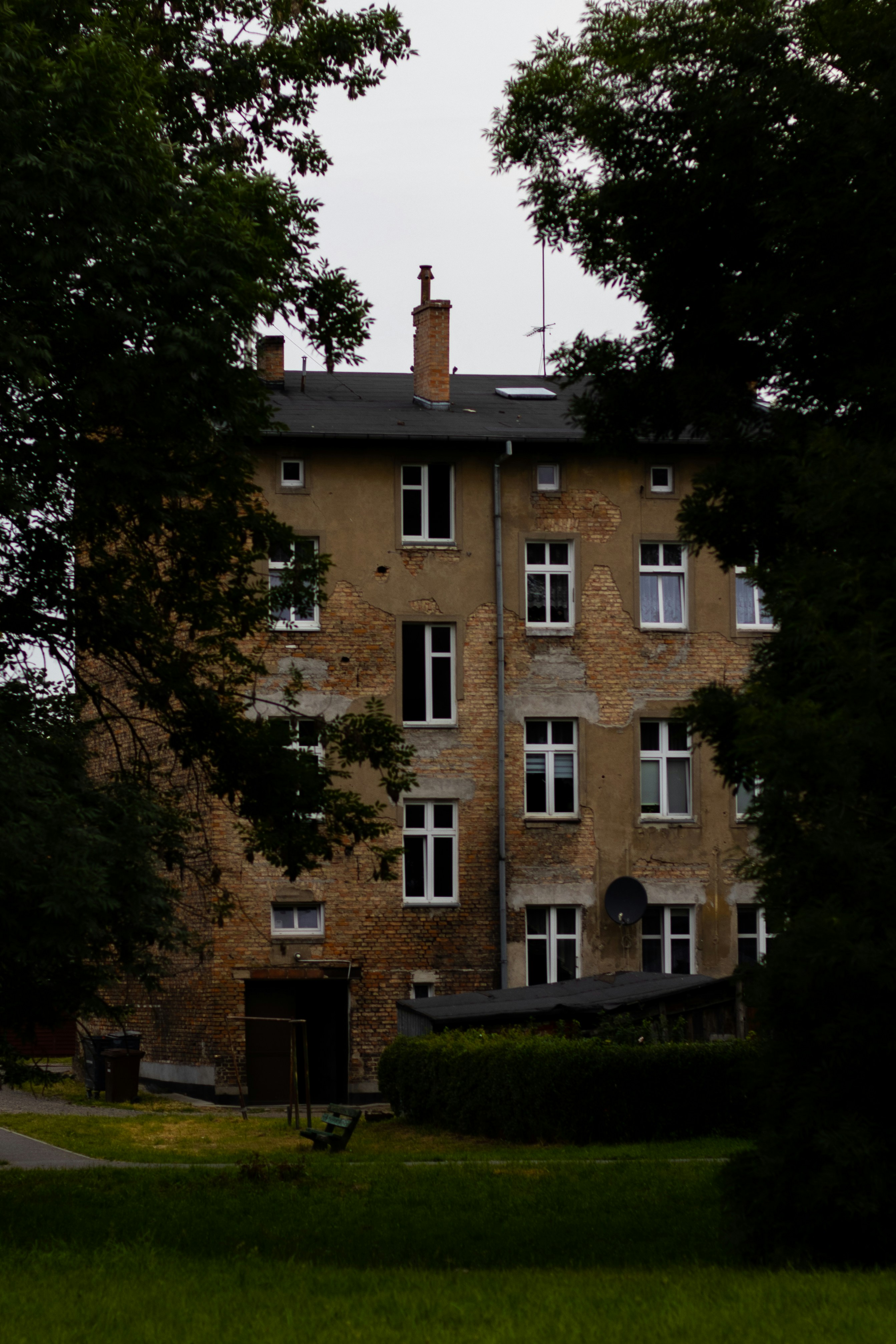 Photo by luizalubinska