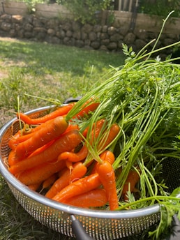 A basket full of carrots sitting in the grass