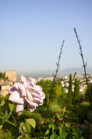 Granada, Spain — stroller score 47/100