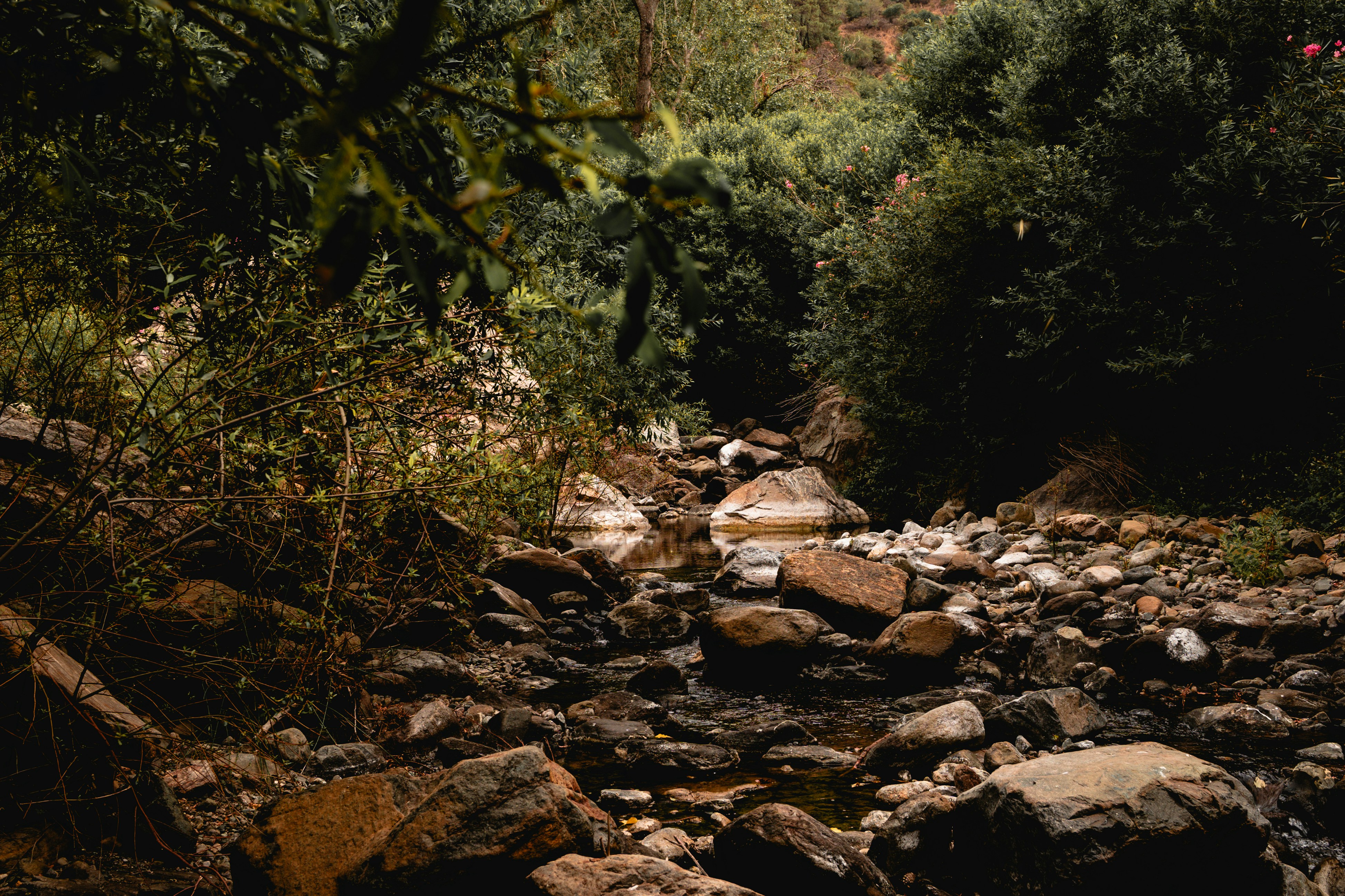 Photo by borjaverbena