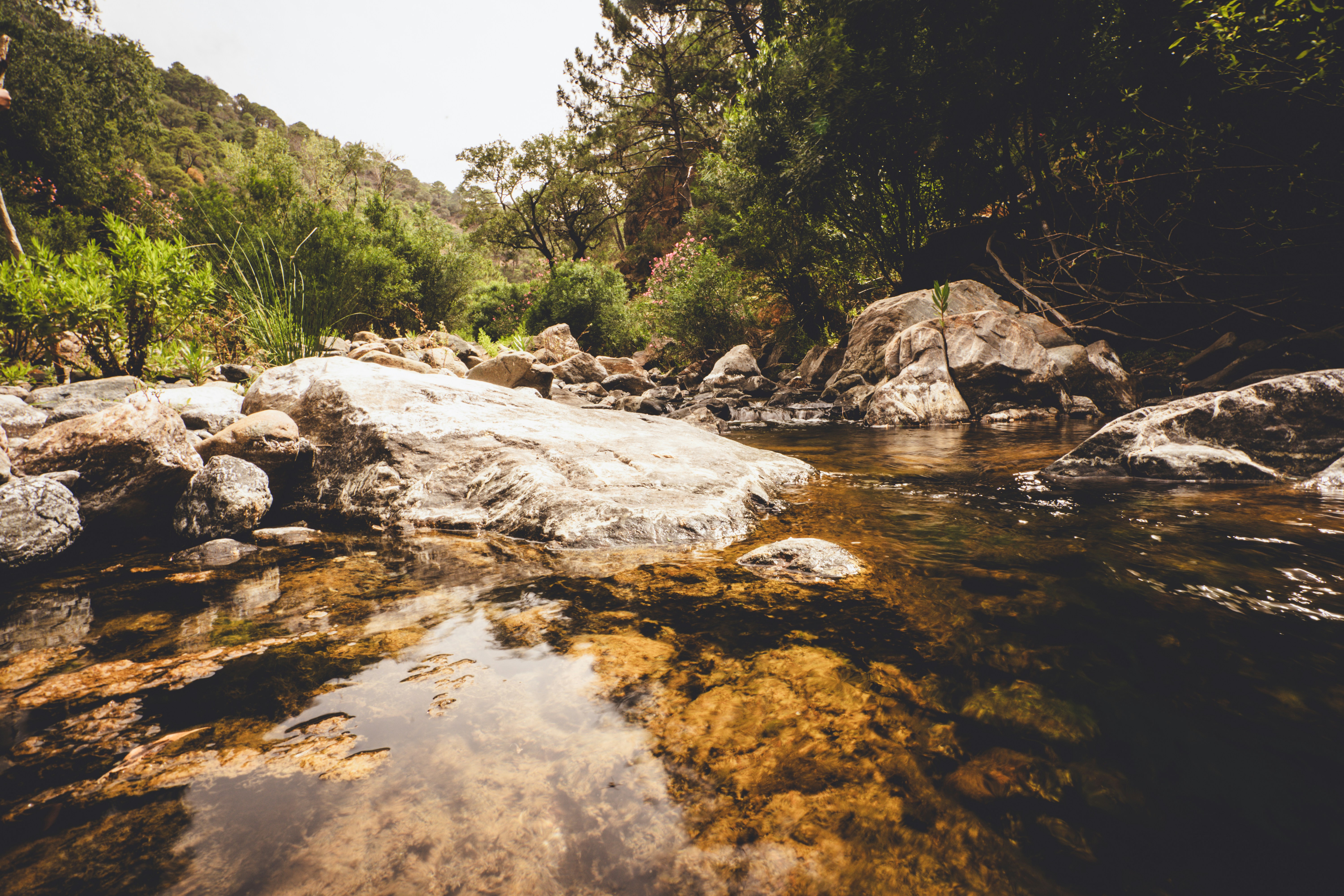 Photo by borjaverbena