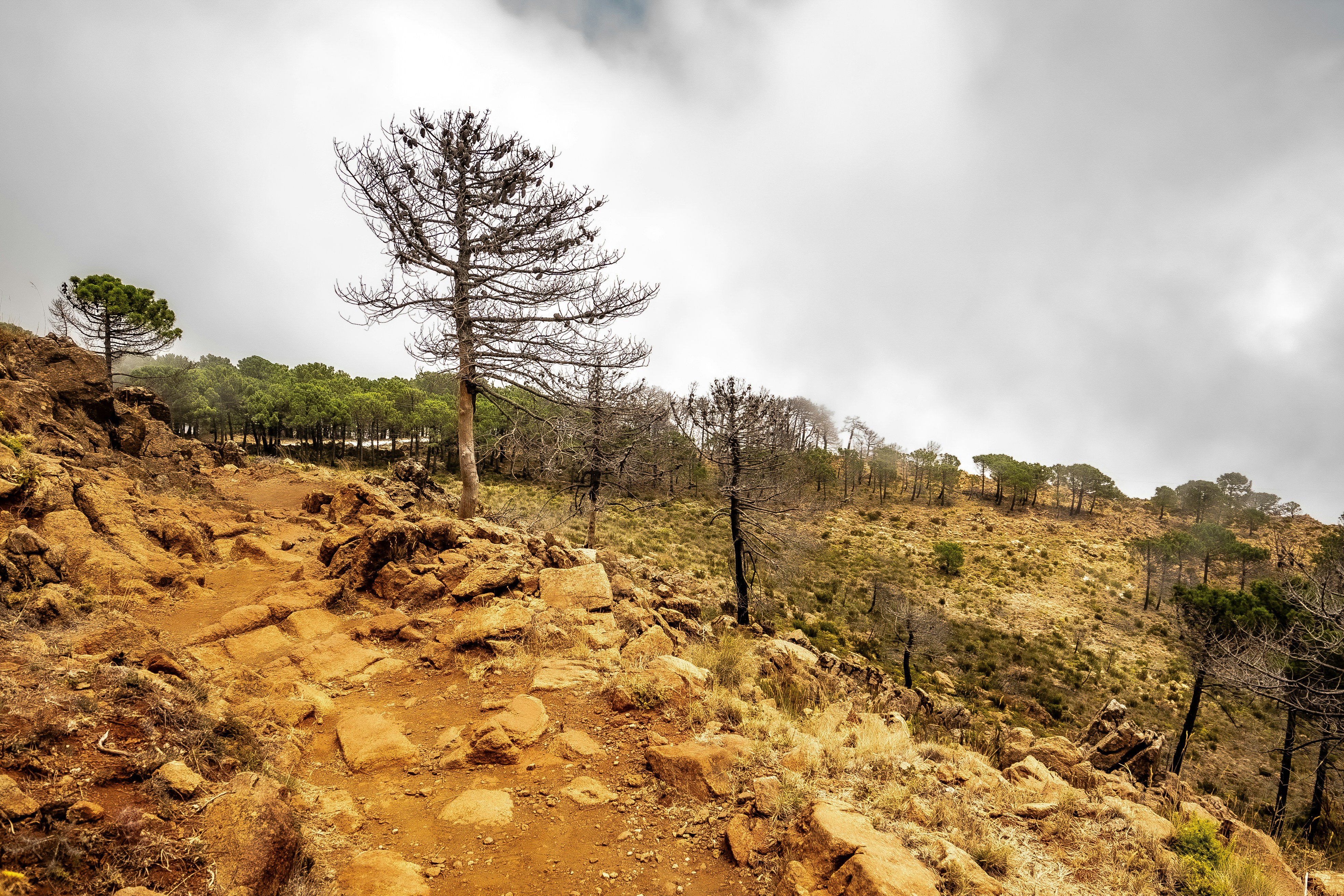 Photo by borjaverbena