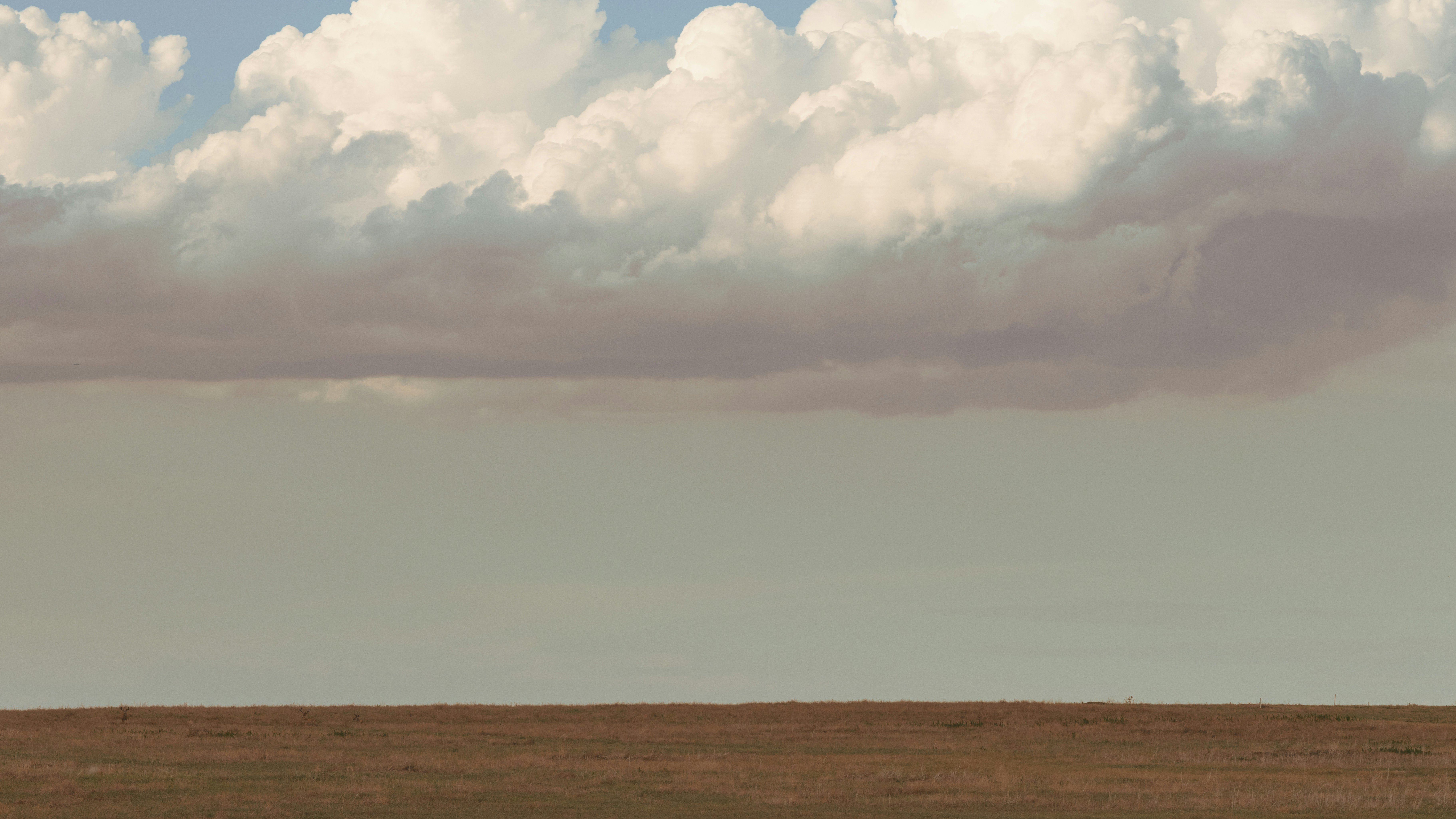 Photo by brandonstoll