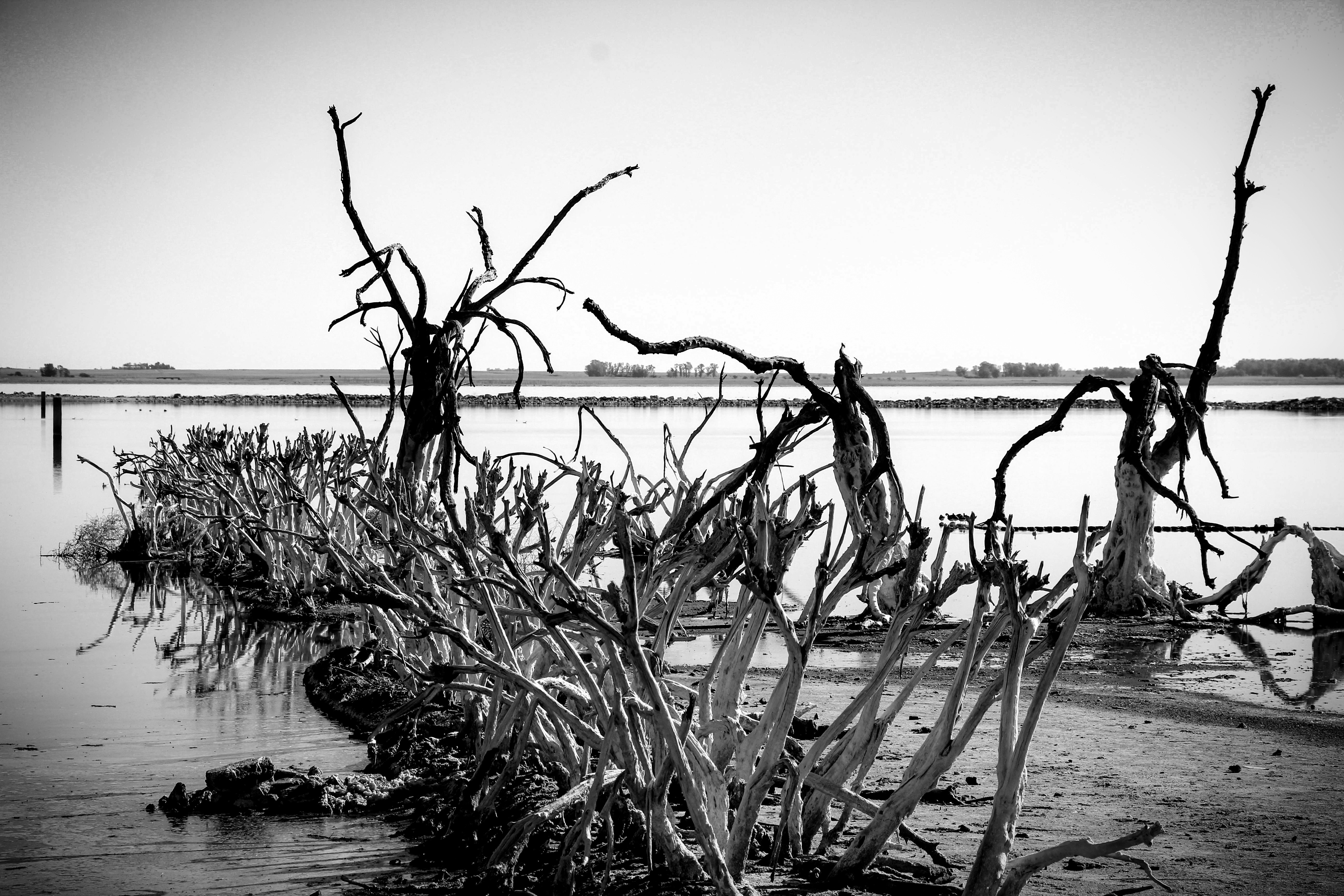 Photo by paloma_vizcay