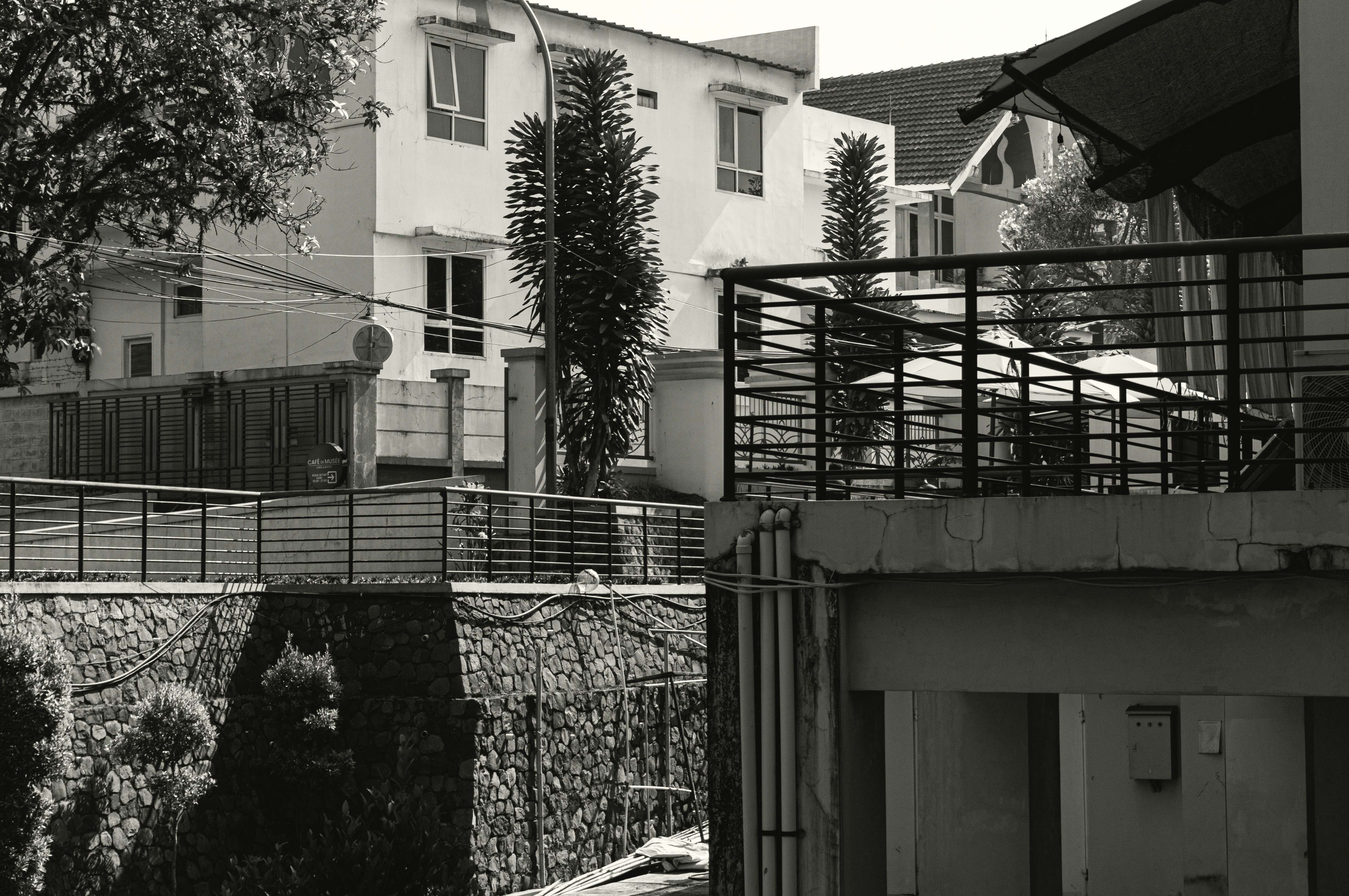 Photo by aletraekaye