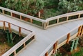 An aerial view of a wooden walkway in the woods