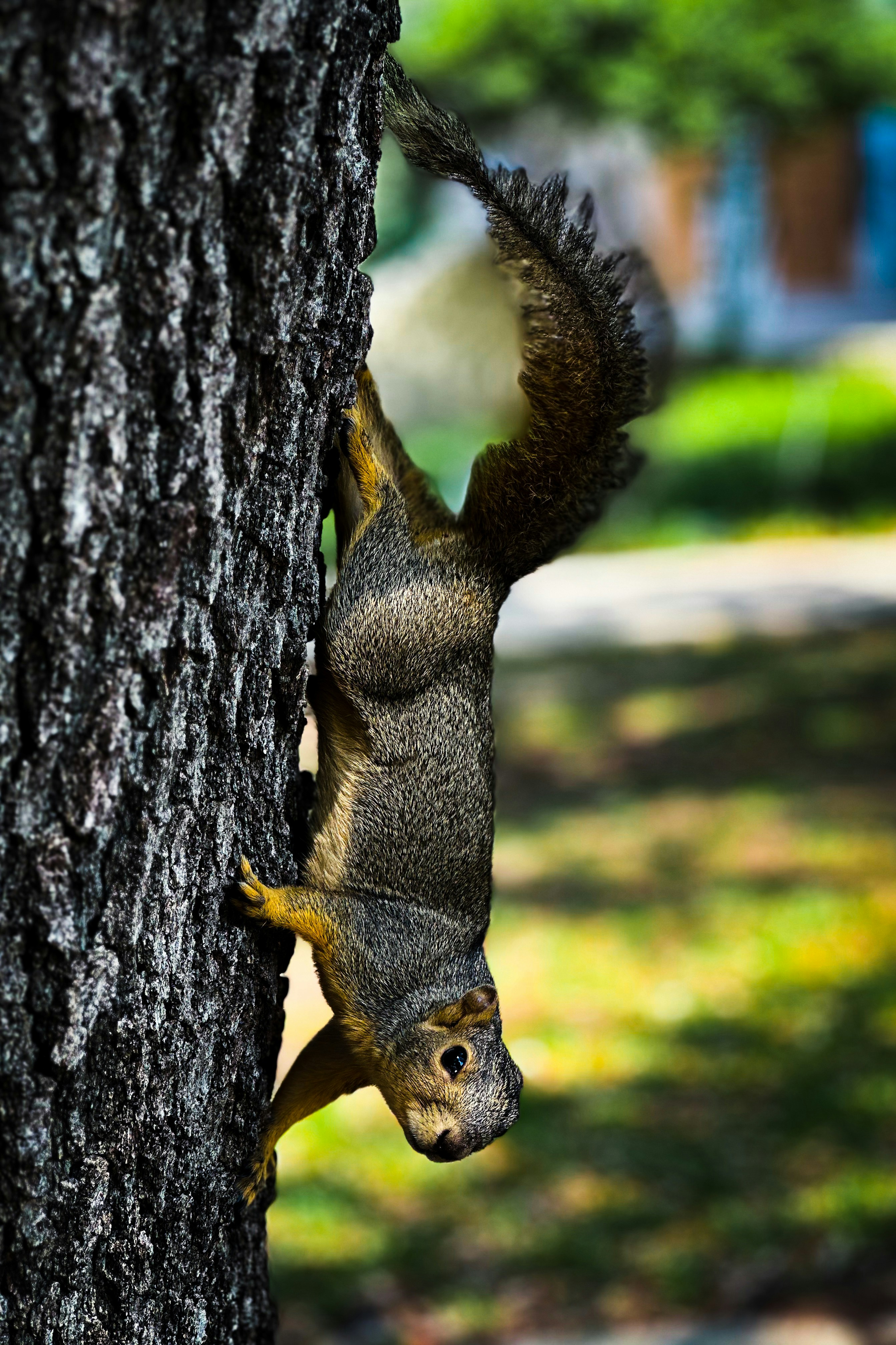 Photo by jashureddy_k