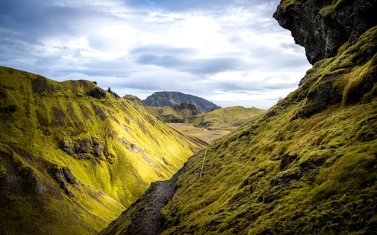 A view of a valley with a mountain in the background