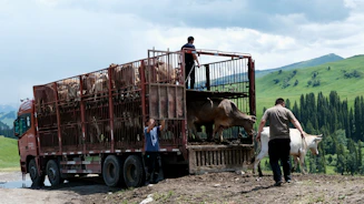 A group of people standing on top of a truck