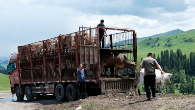 A group of people standing on top of a truck