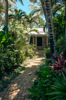 A house surrounded by palm trees on a sunny day