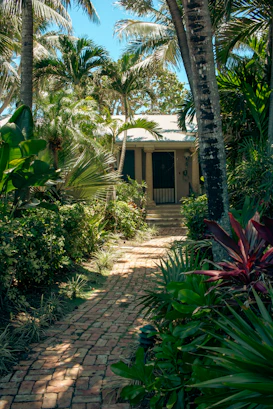 A house surrounded by palm trees on a sunny day