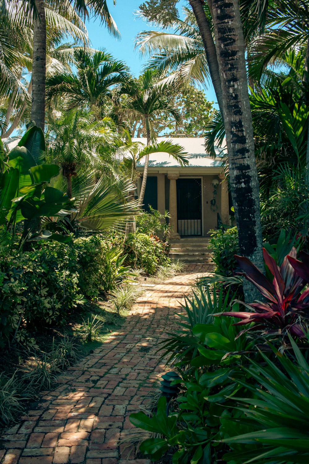 Coastal Florida residence surrounded by palm trees