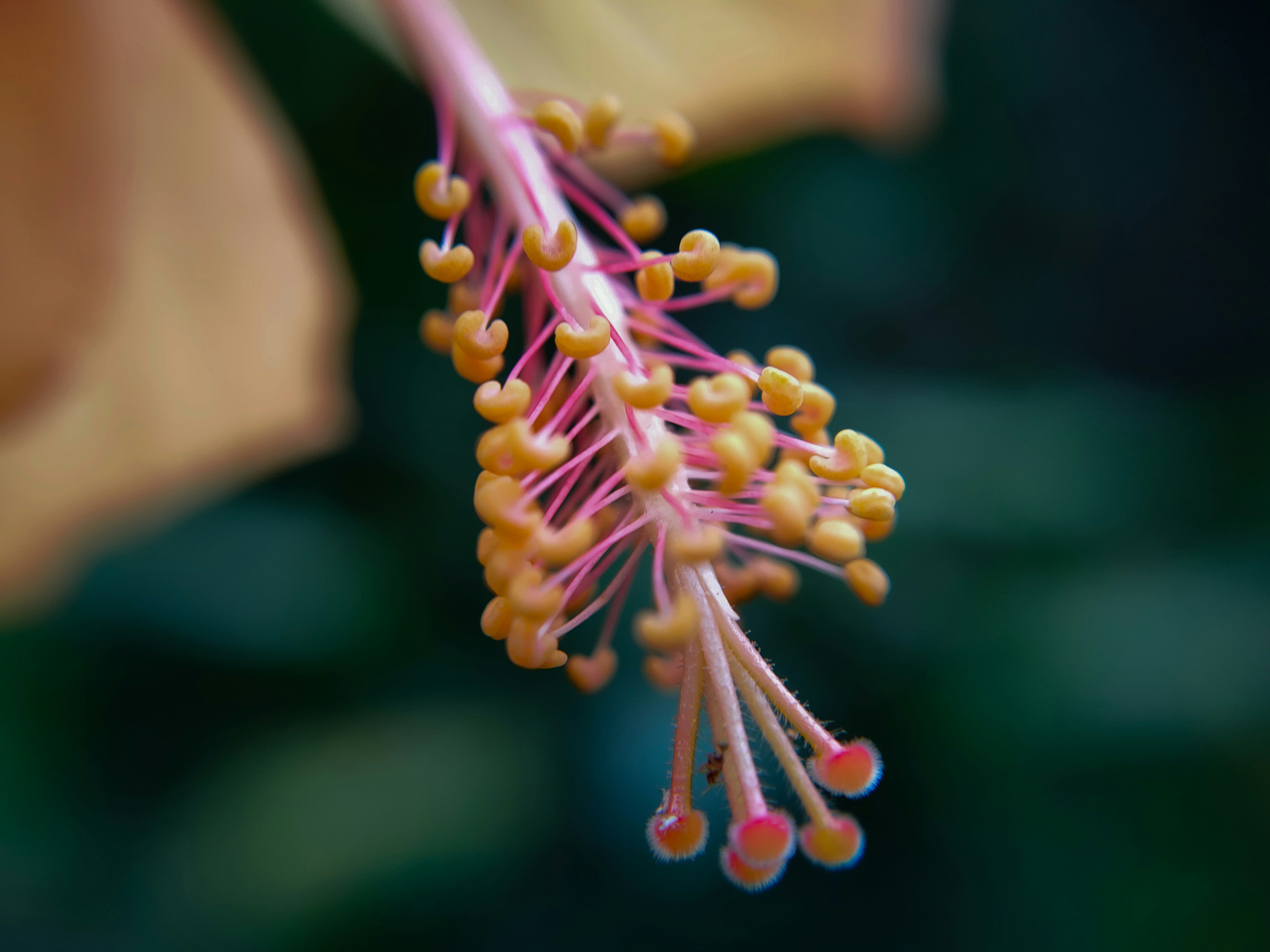 Photo by sujaypaulsp