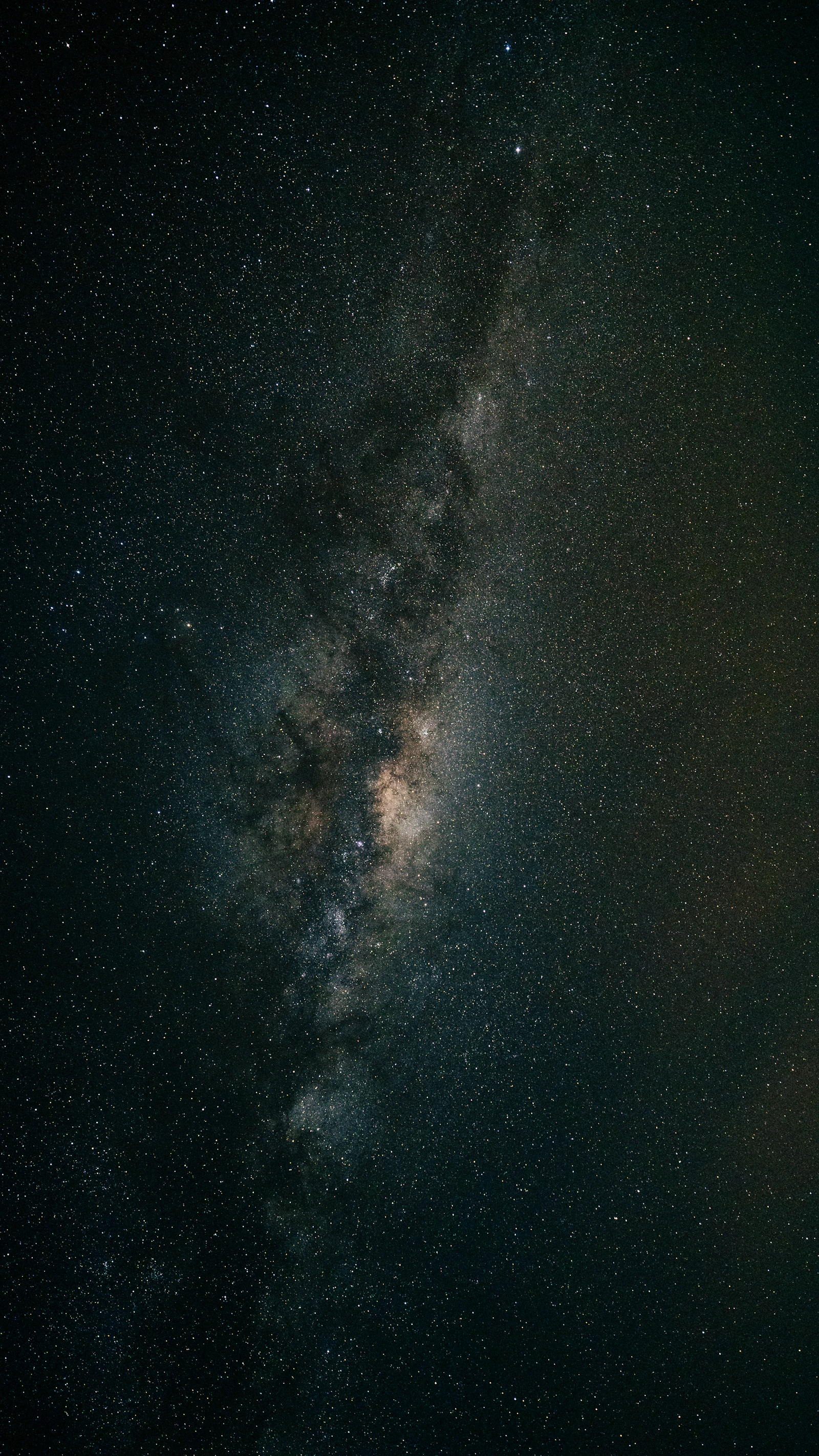 Milky way over the African bush