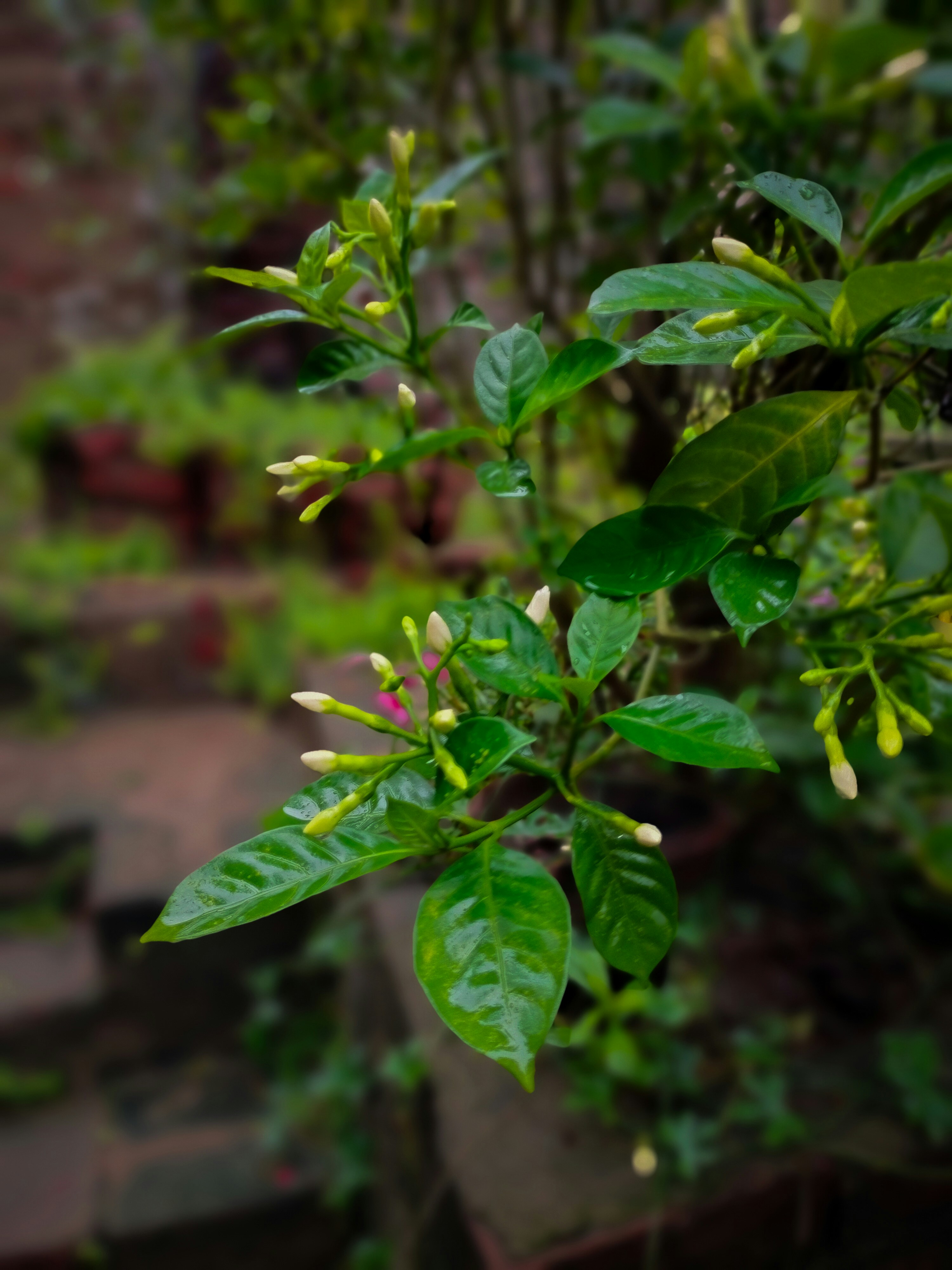 Photo by sujaypaulsp