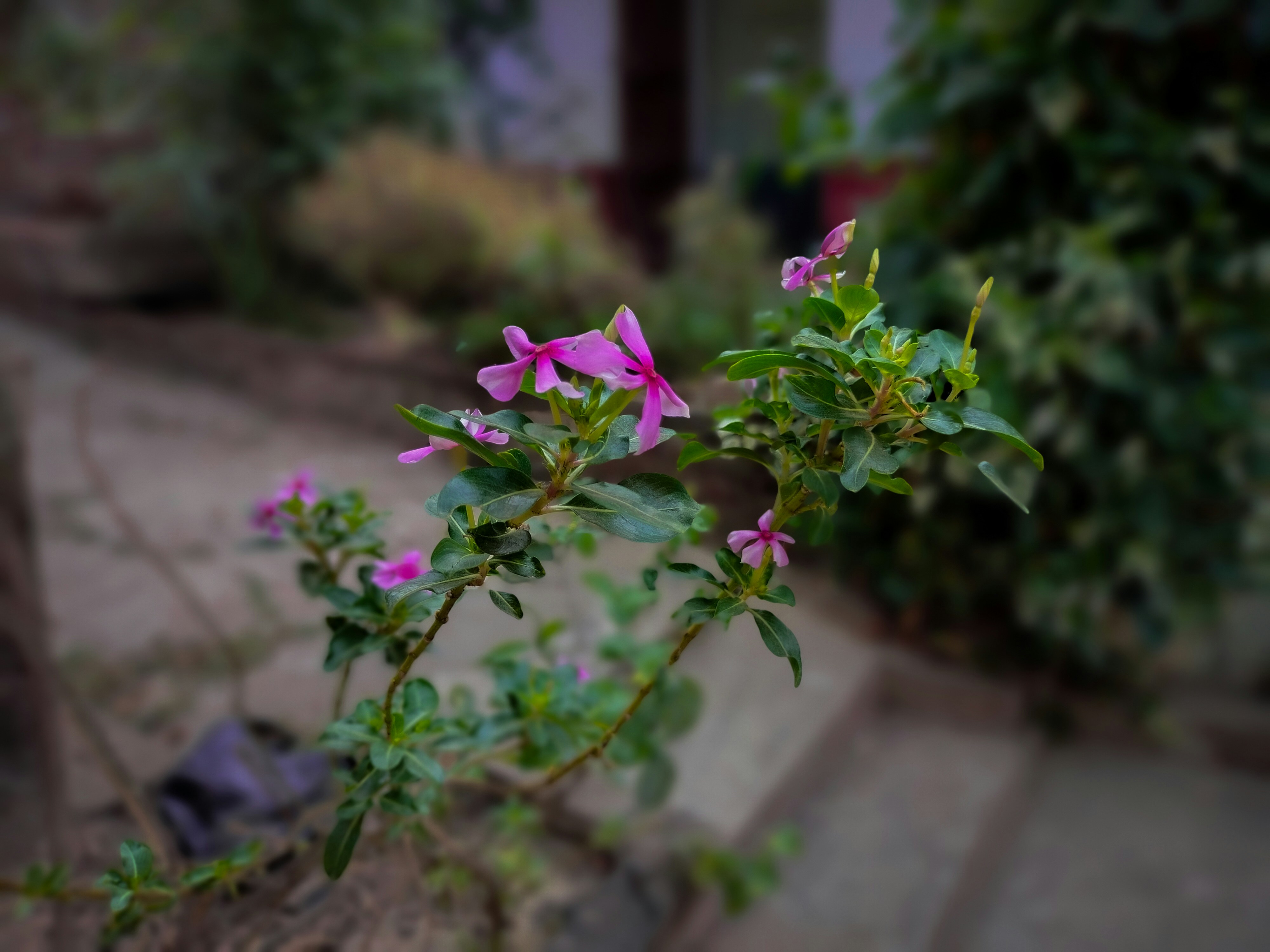 Photo by sujaypaulsp