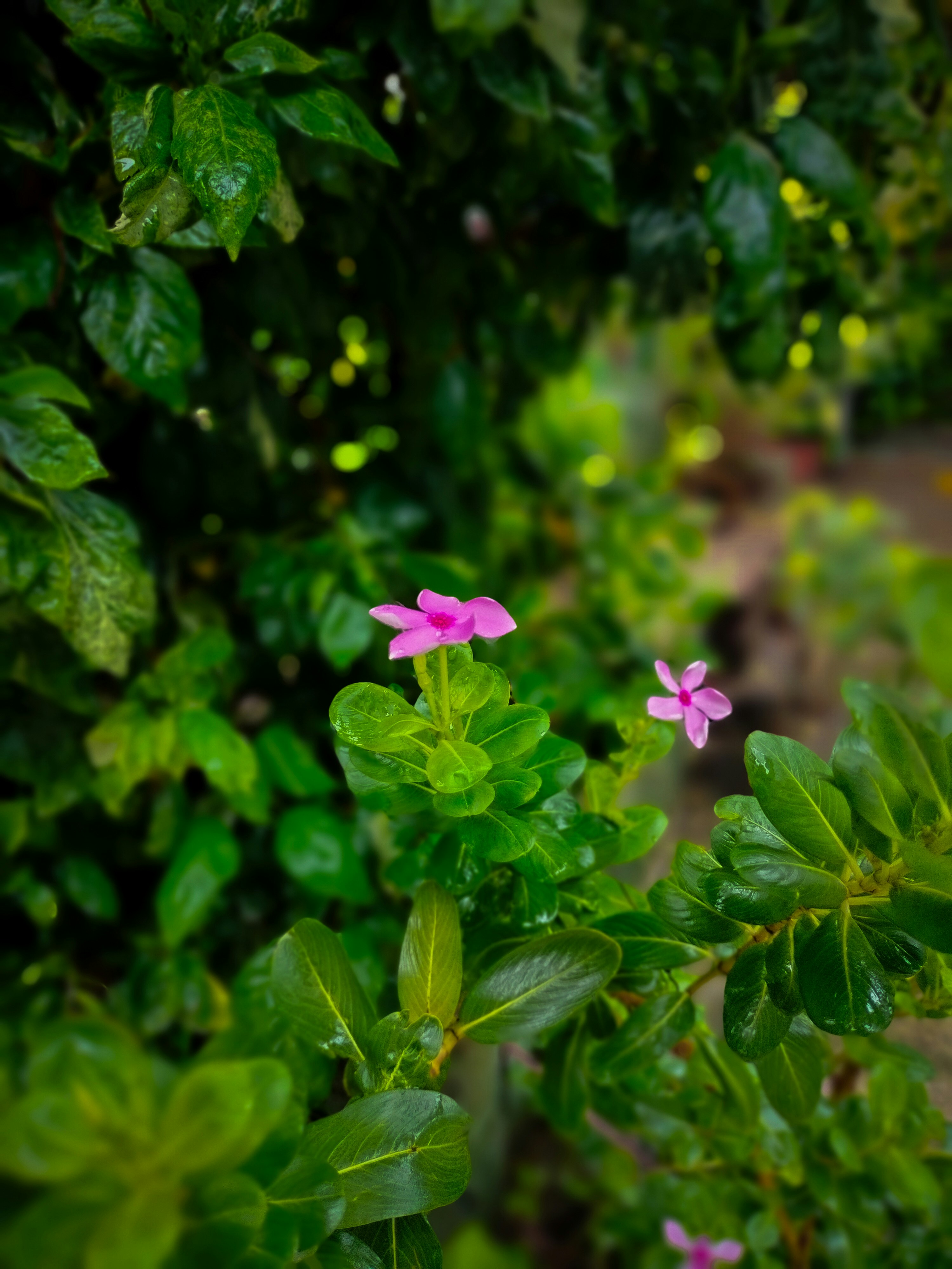 Photo by sujaypaulsp