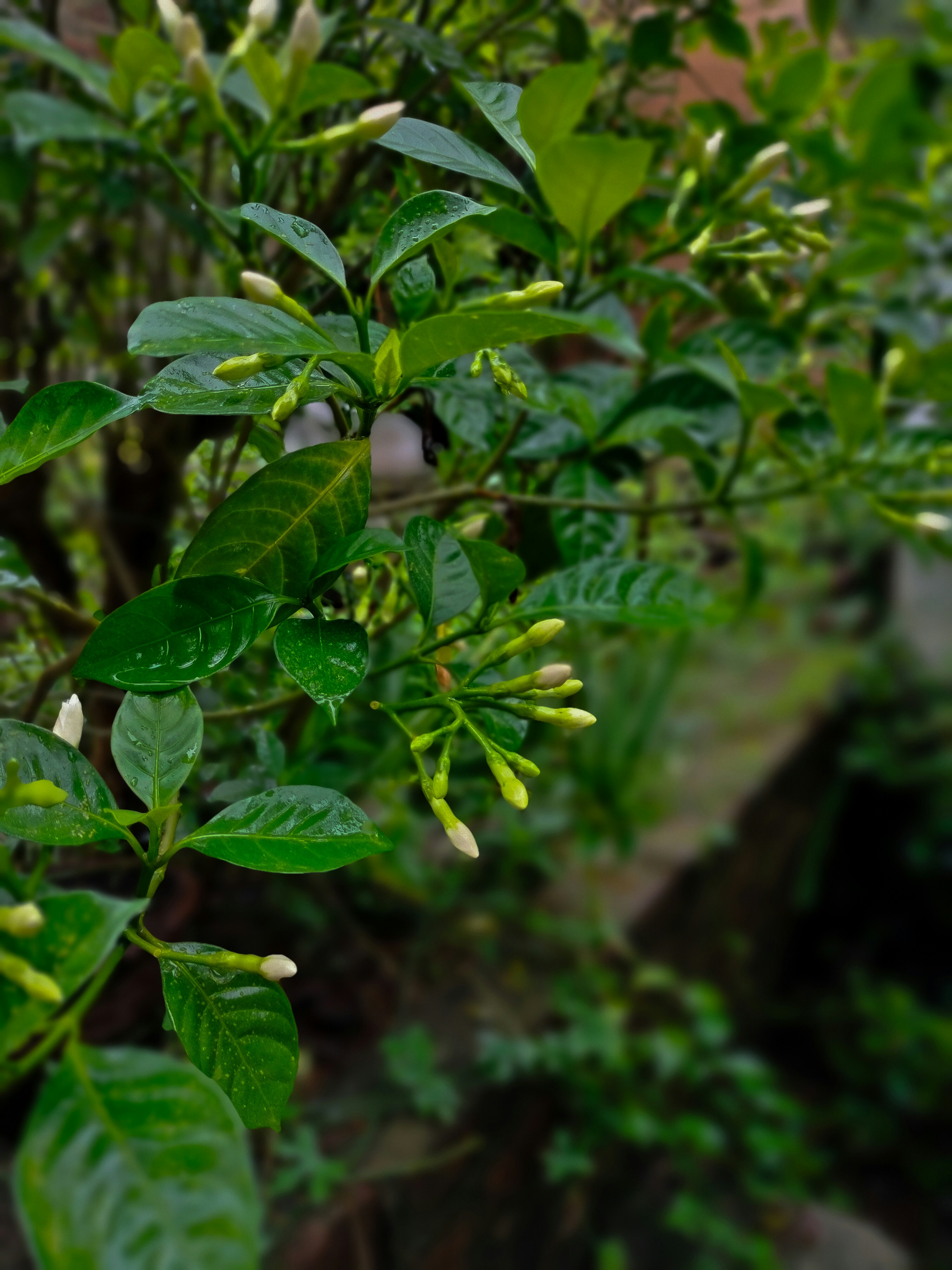 Photo by sujaypaulsp