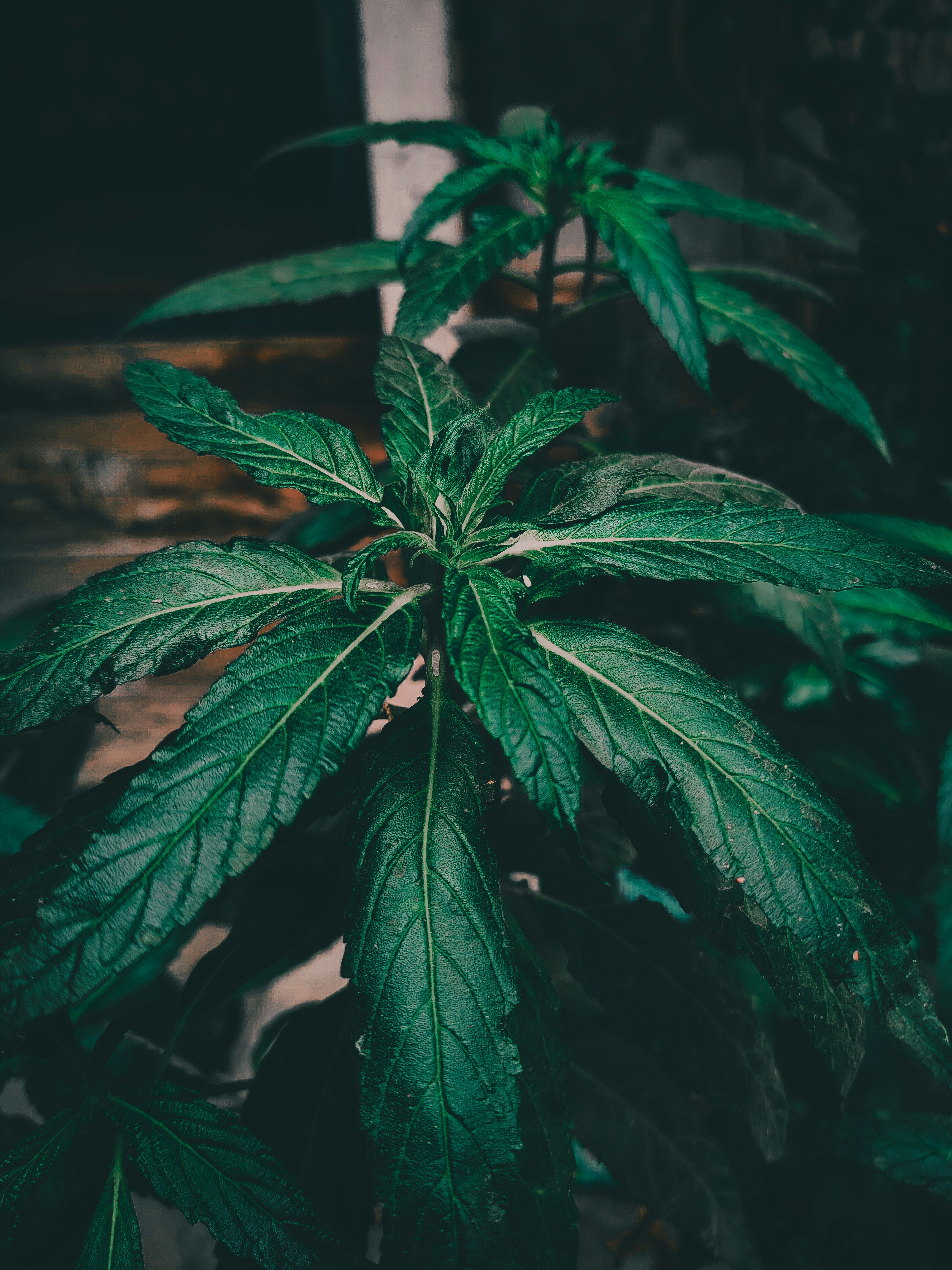 Photo by sujaypaulsp