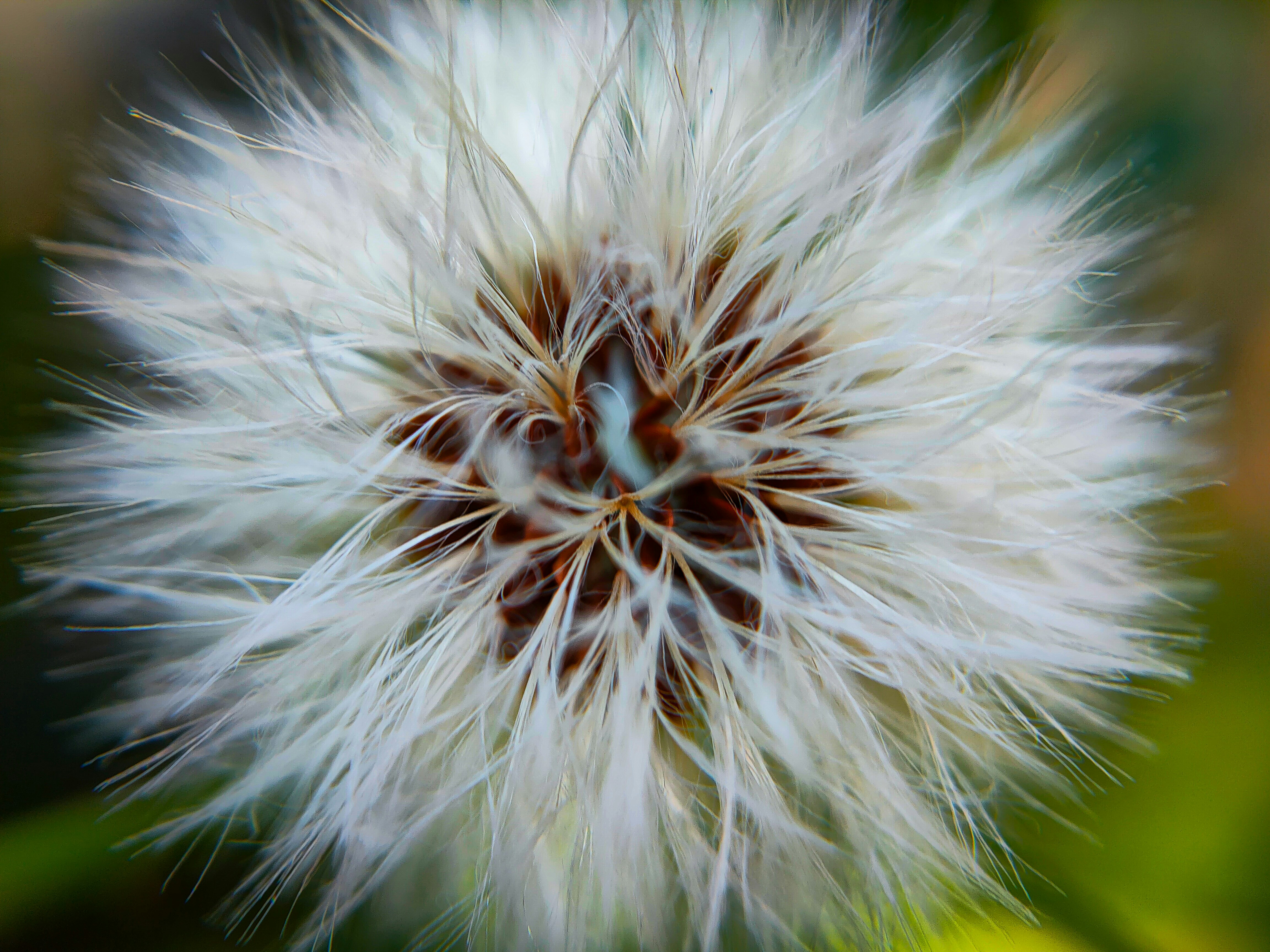 Photo by sujaypaulsp