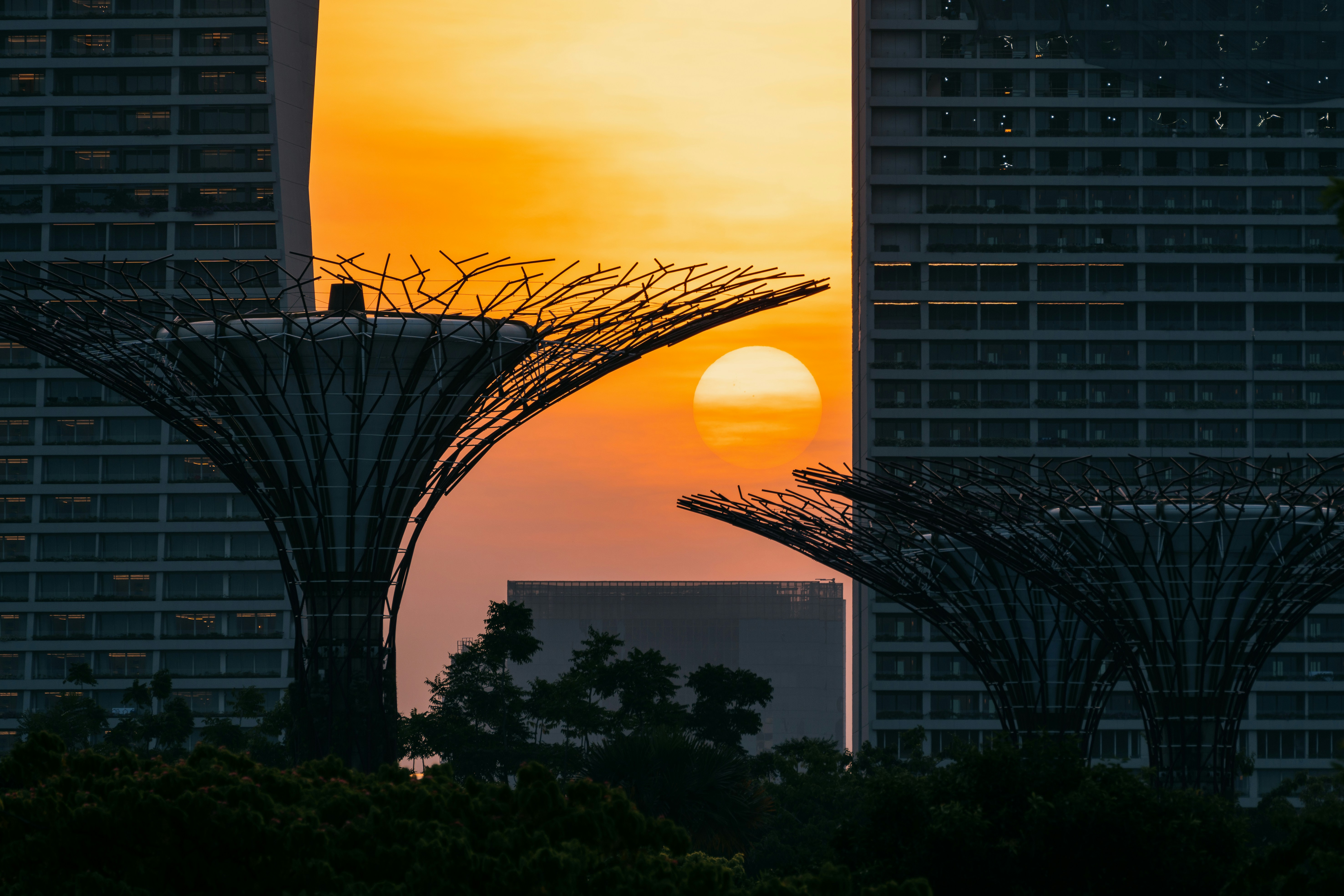 The sun is setting behind the tall buildings