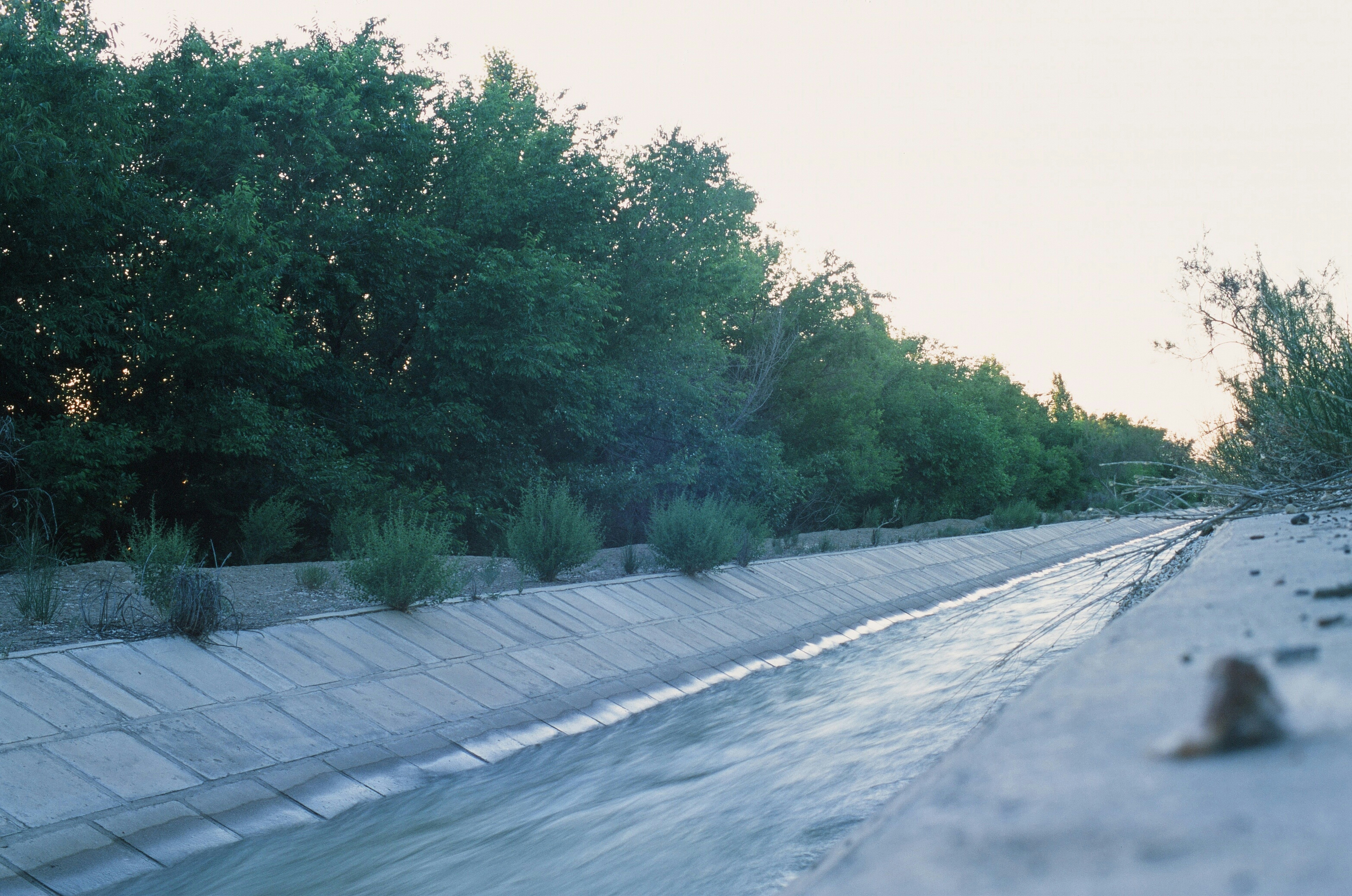 A road with a bunch of trees on the side of it