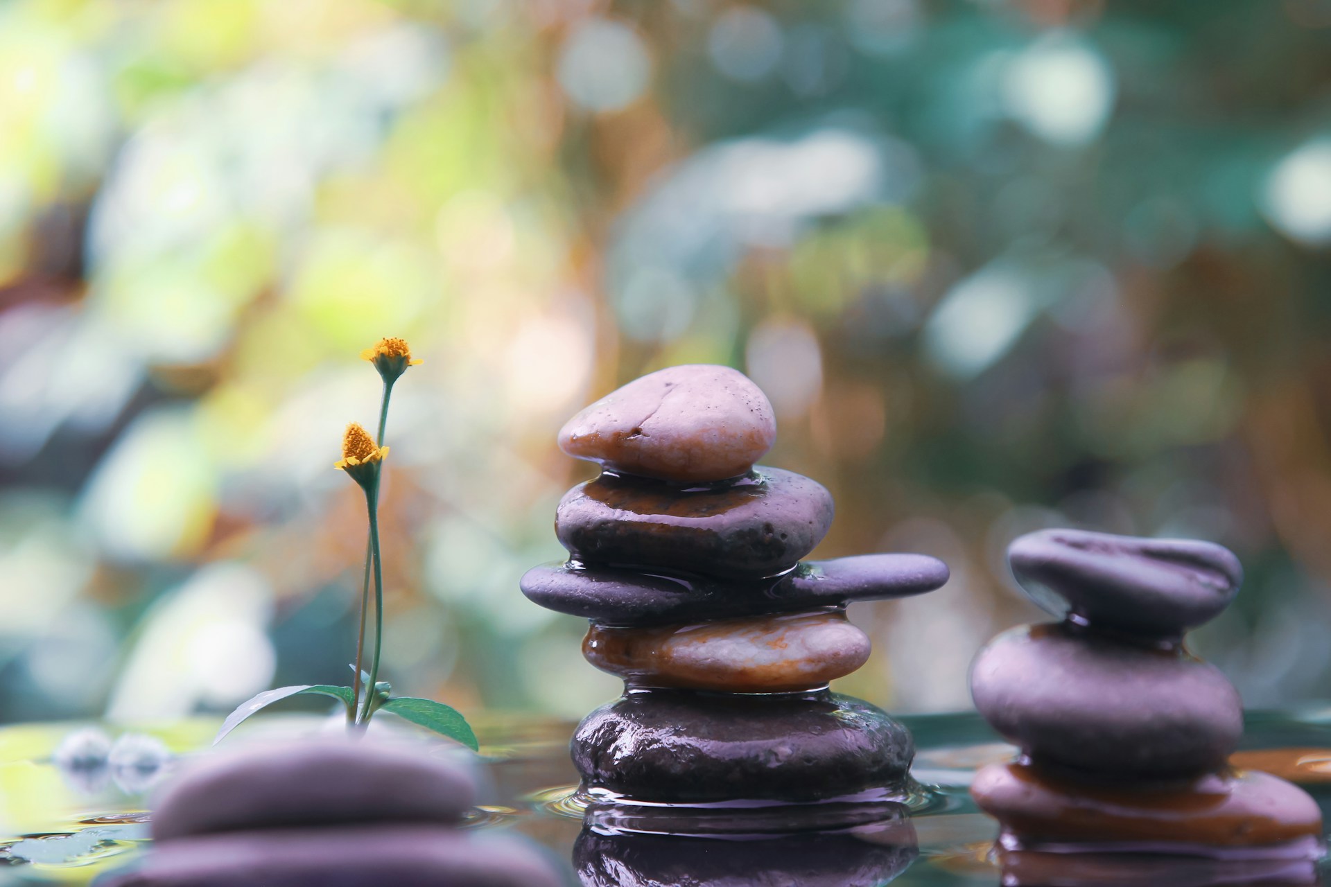 A group of rocks stacked on top of each other