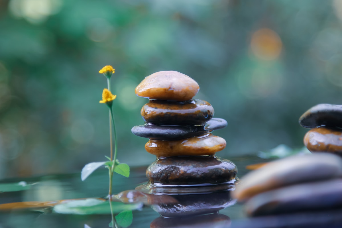 Individualised Wellness Plans