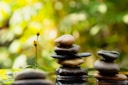 A group of rocks stacked on top of each other