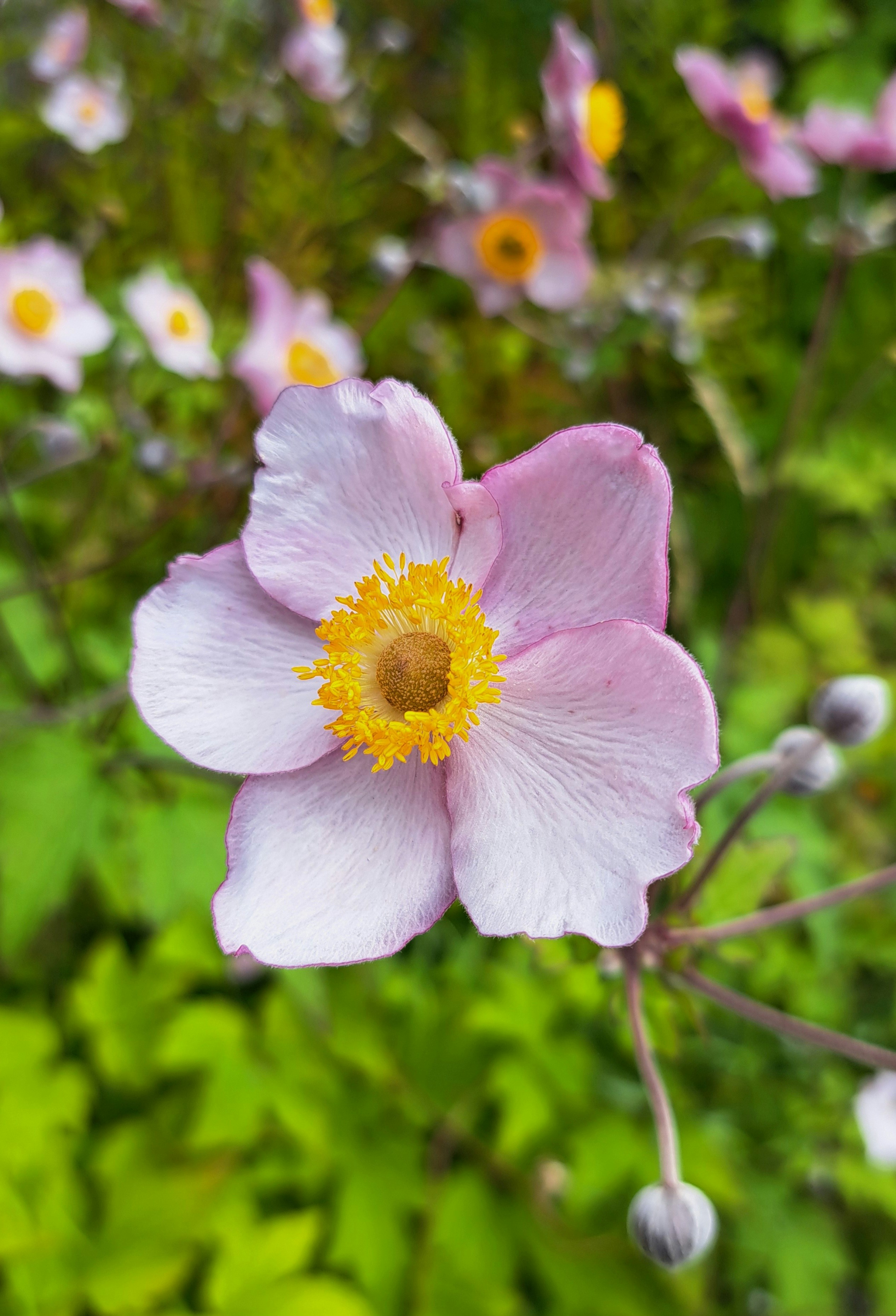 Photo by schreibmich